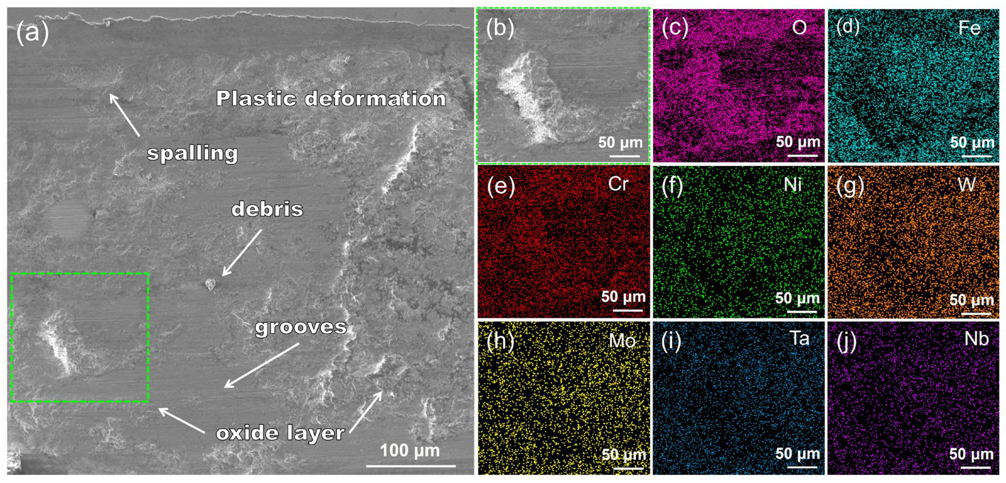 Nanomaterials 14 01016 g014