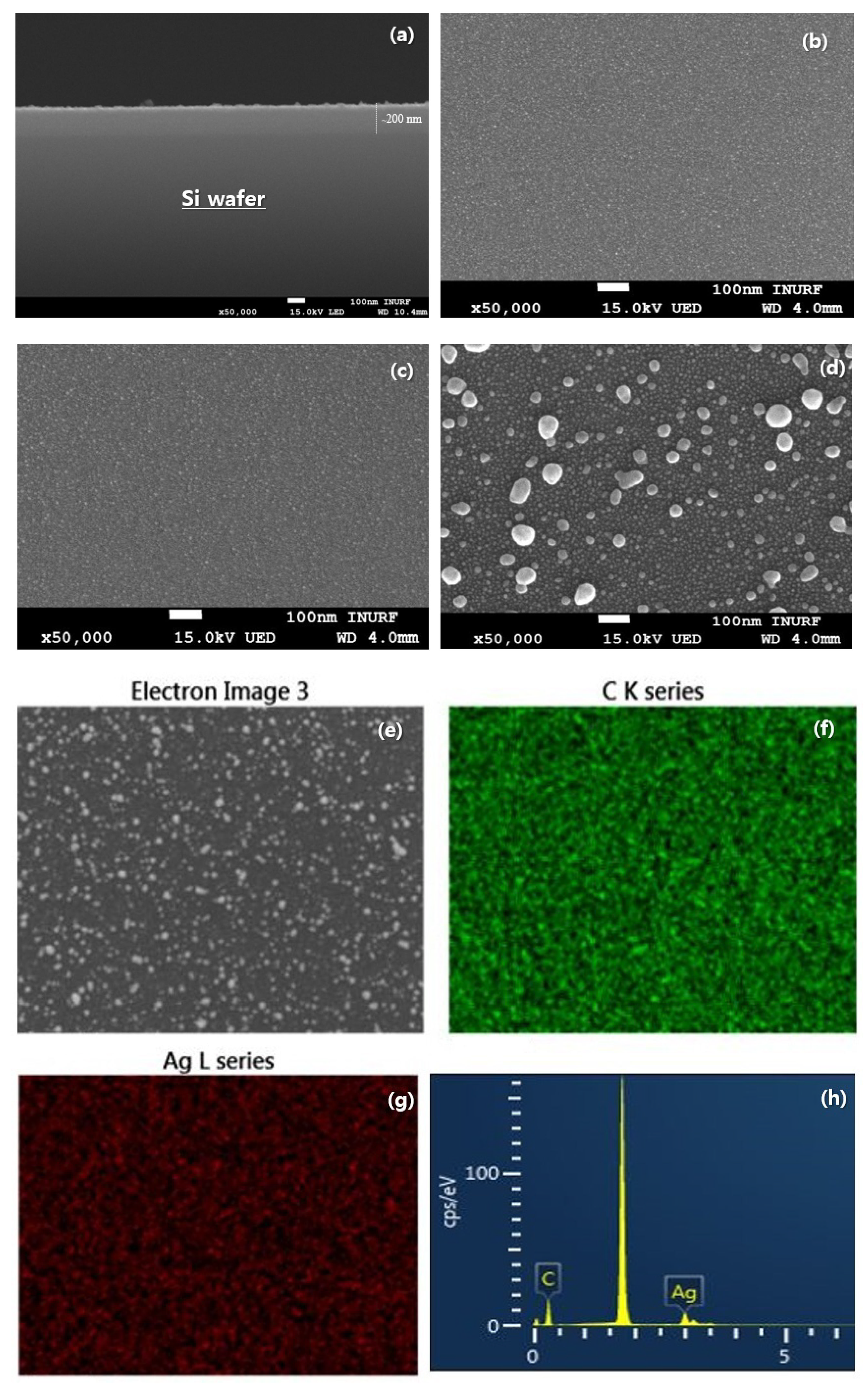 Nanomaterials 14 01017 g005