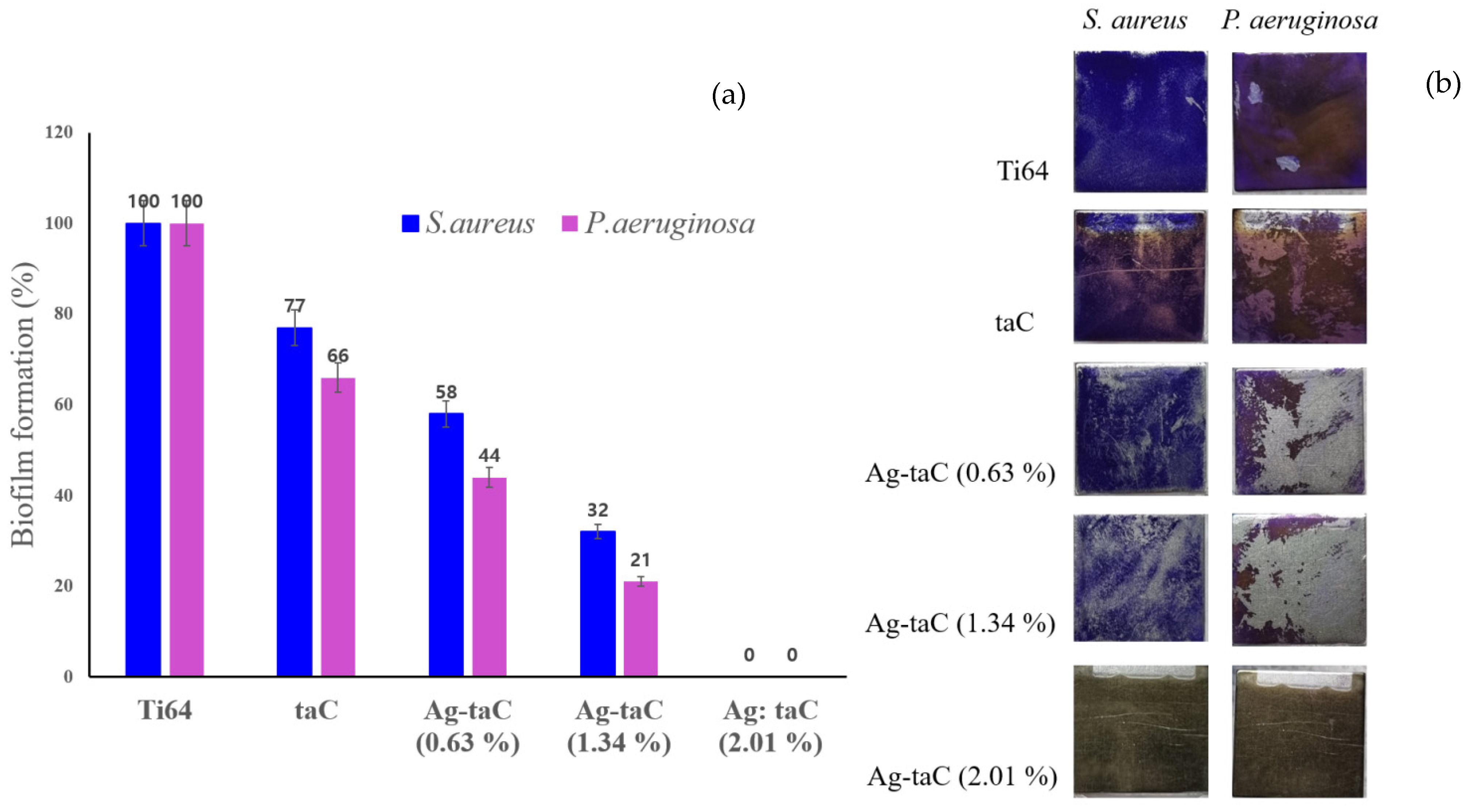 Nanomaterials 14 01017 g007