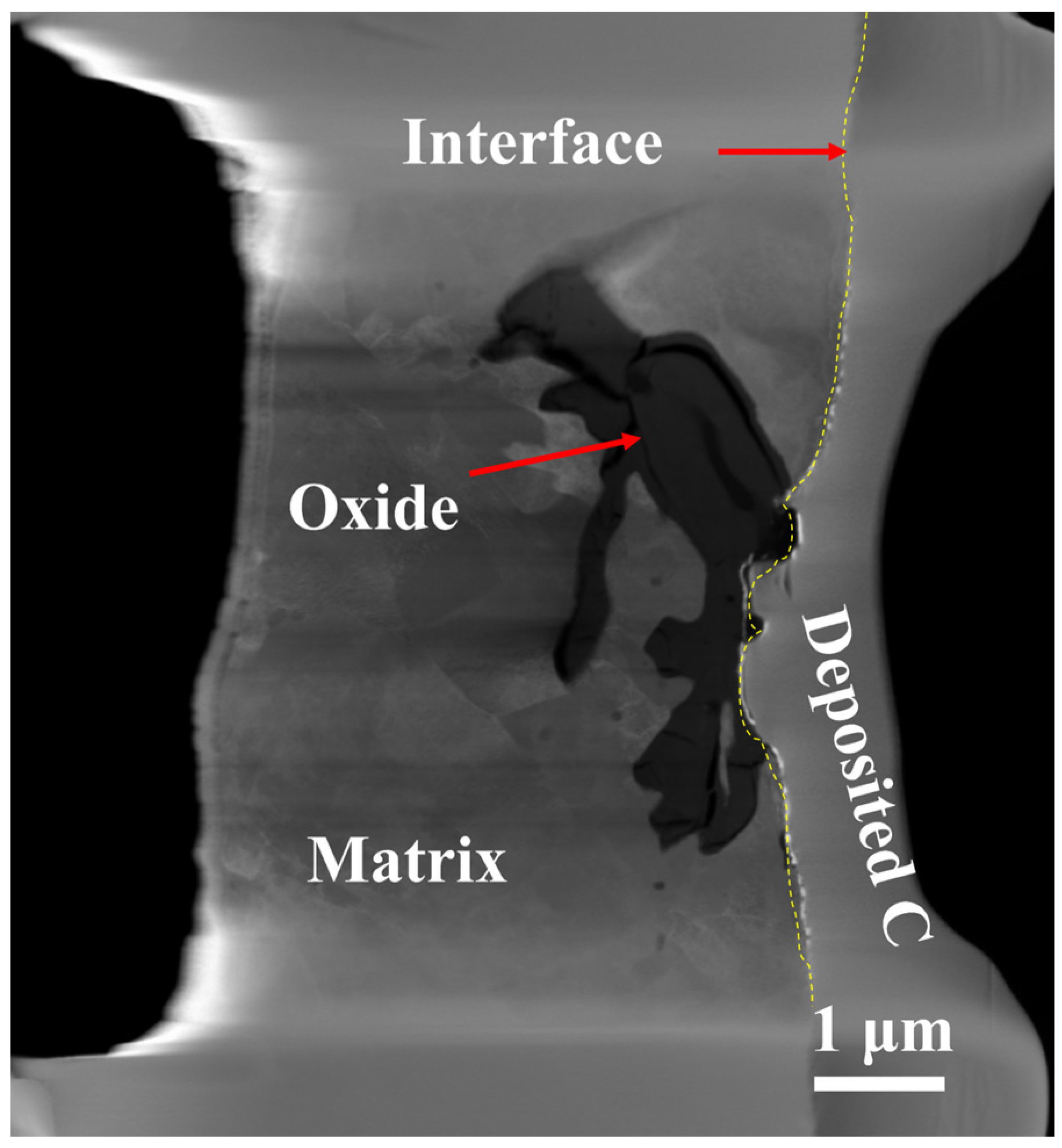 Nanomaterials 14 01026 g004