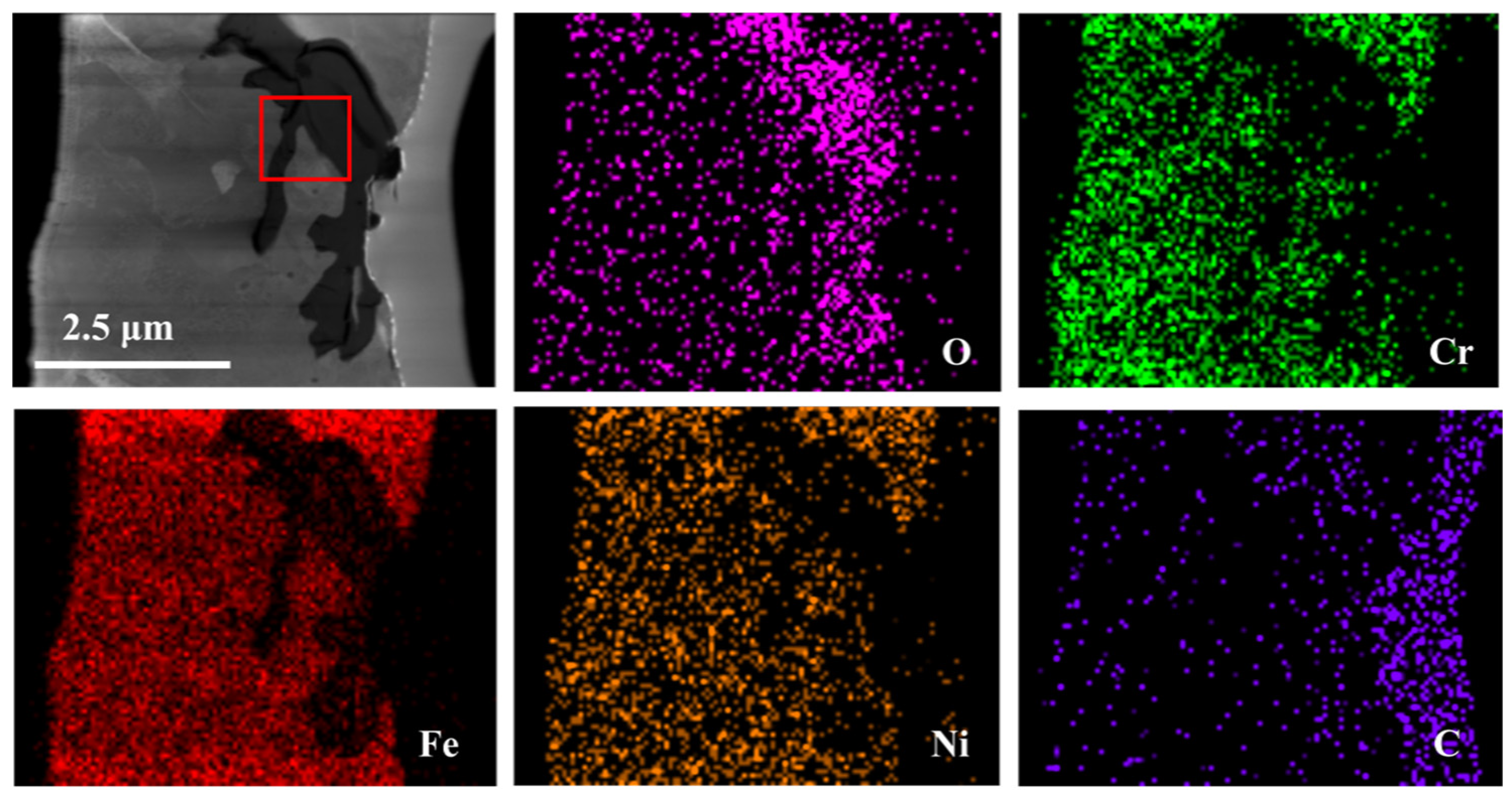 Nanomaterials 14 01026 g005