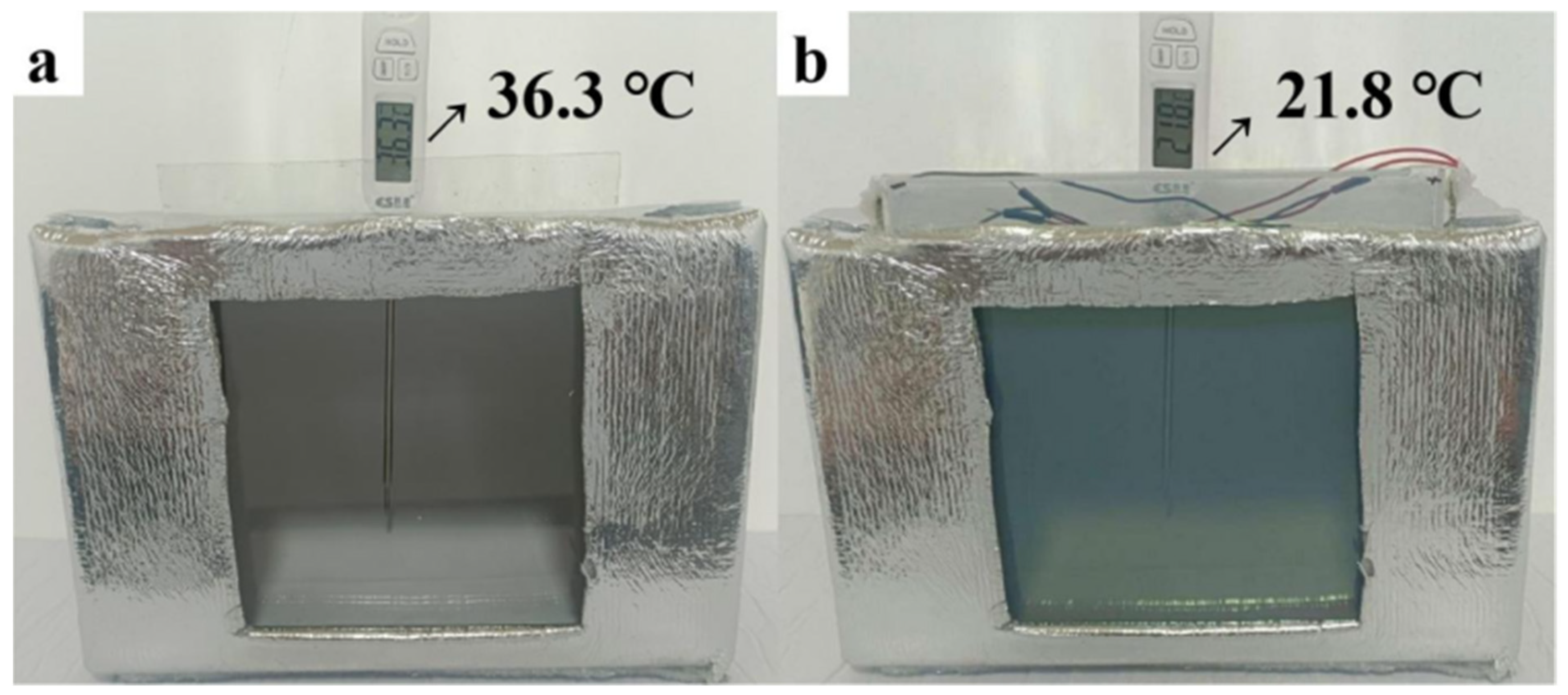 Nanomaterials 14 01027 g007
