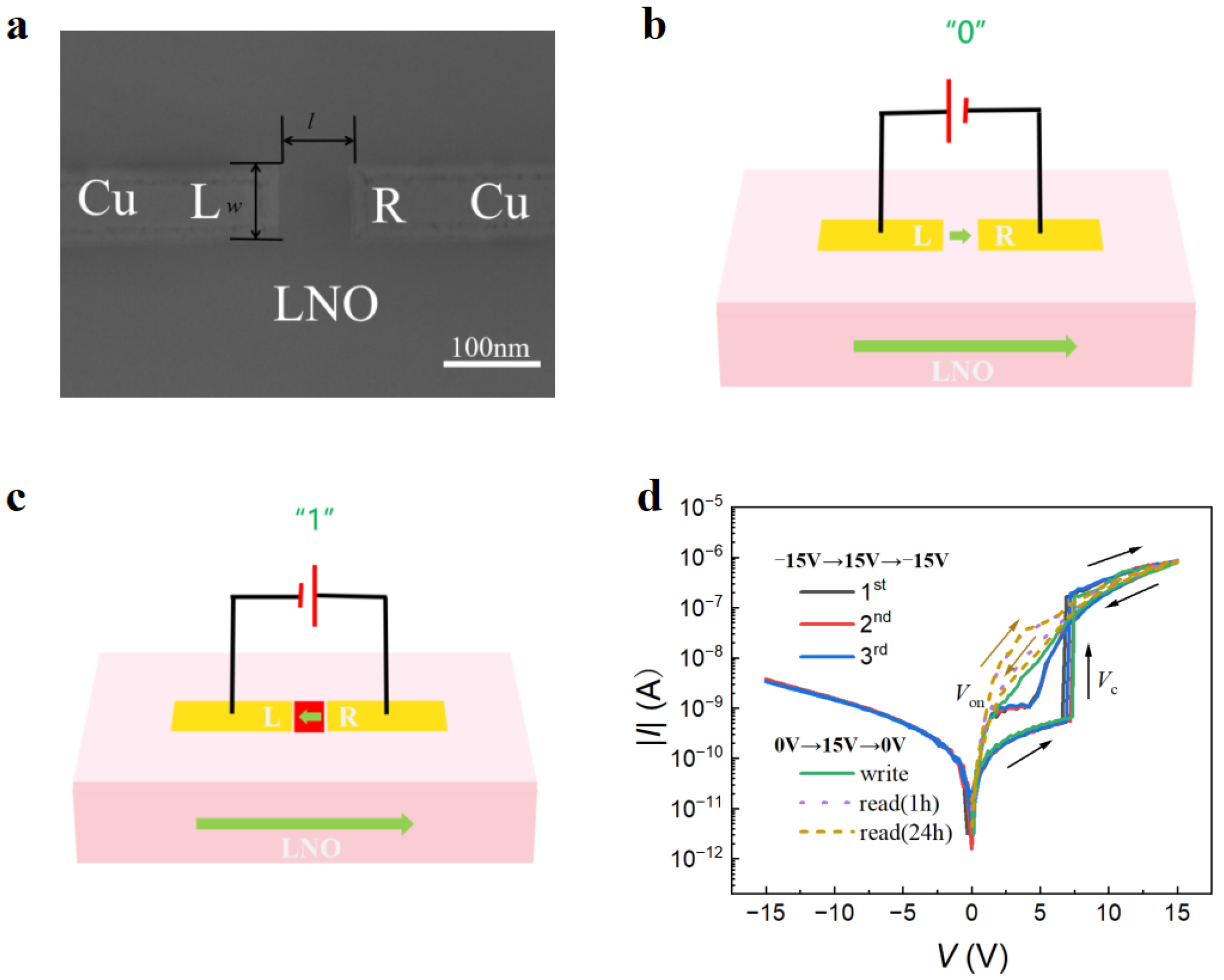 Nanomaterials 14 01031 g002