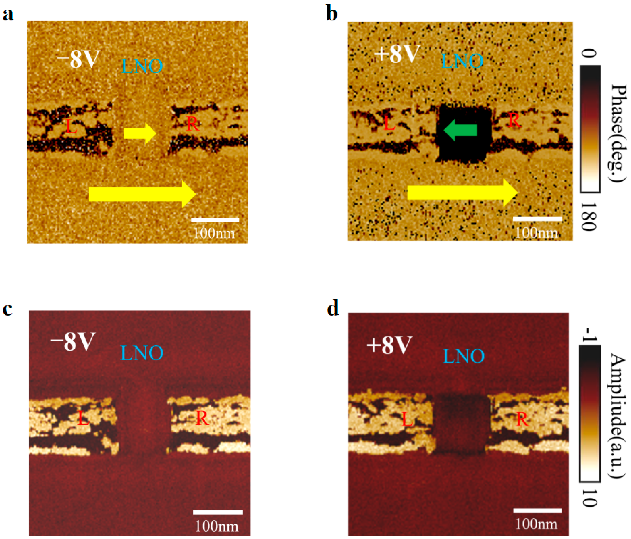 Nanomaterials 14 01031 g004