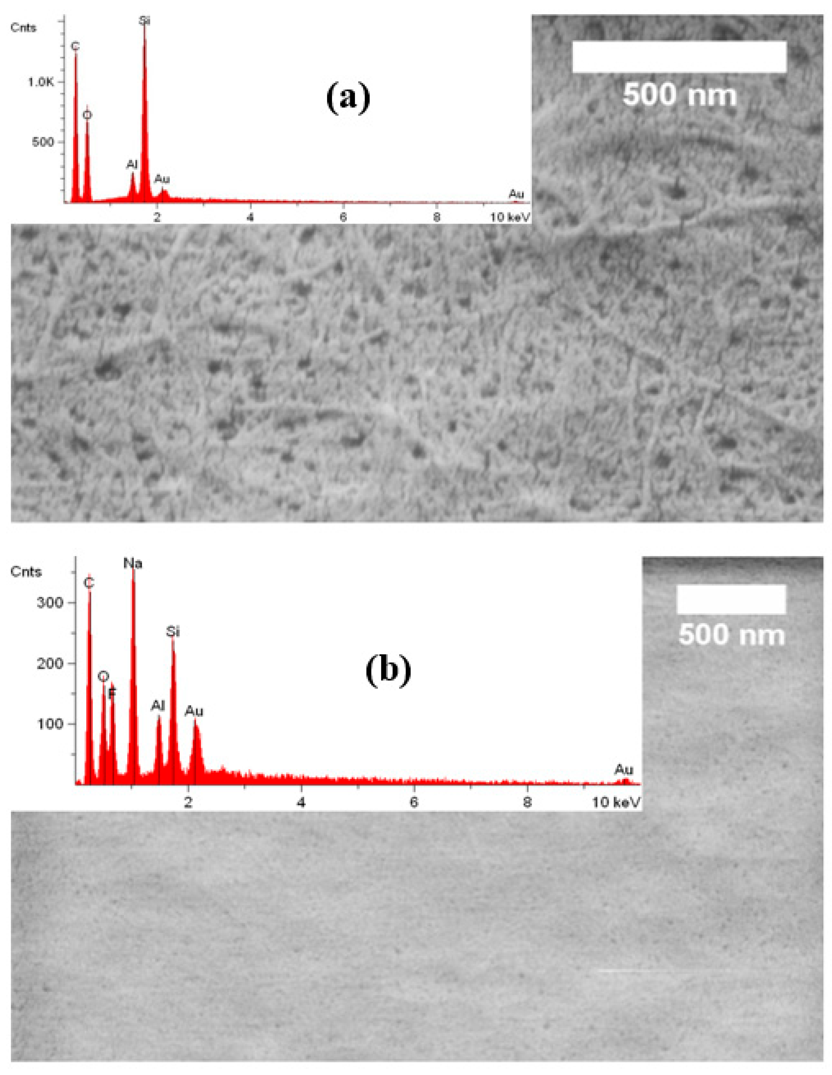 Nanomaterials 14 01032 g005