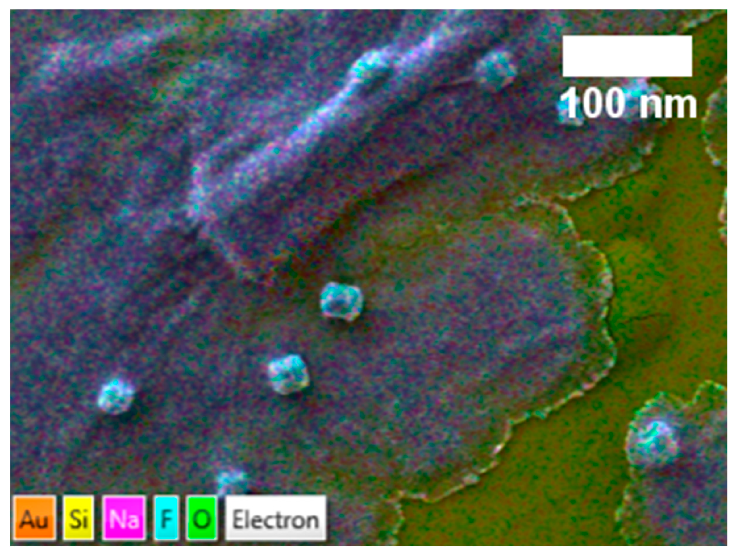 Nanomaterials 14 01032 g006