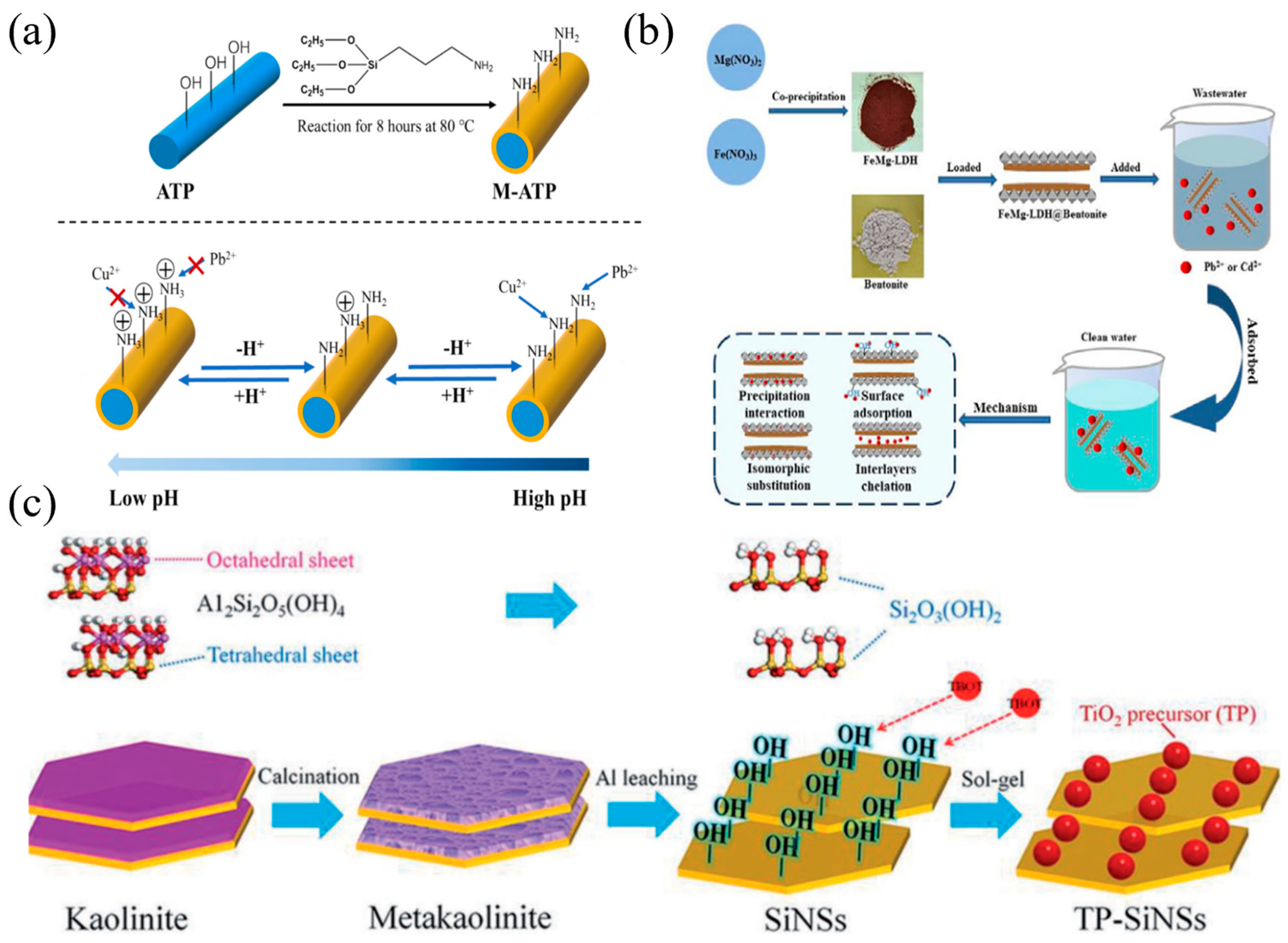 Nanomaterials 14 01037 g008
