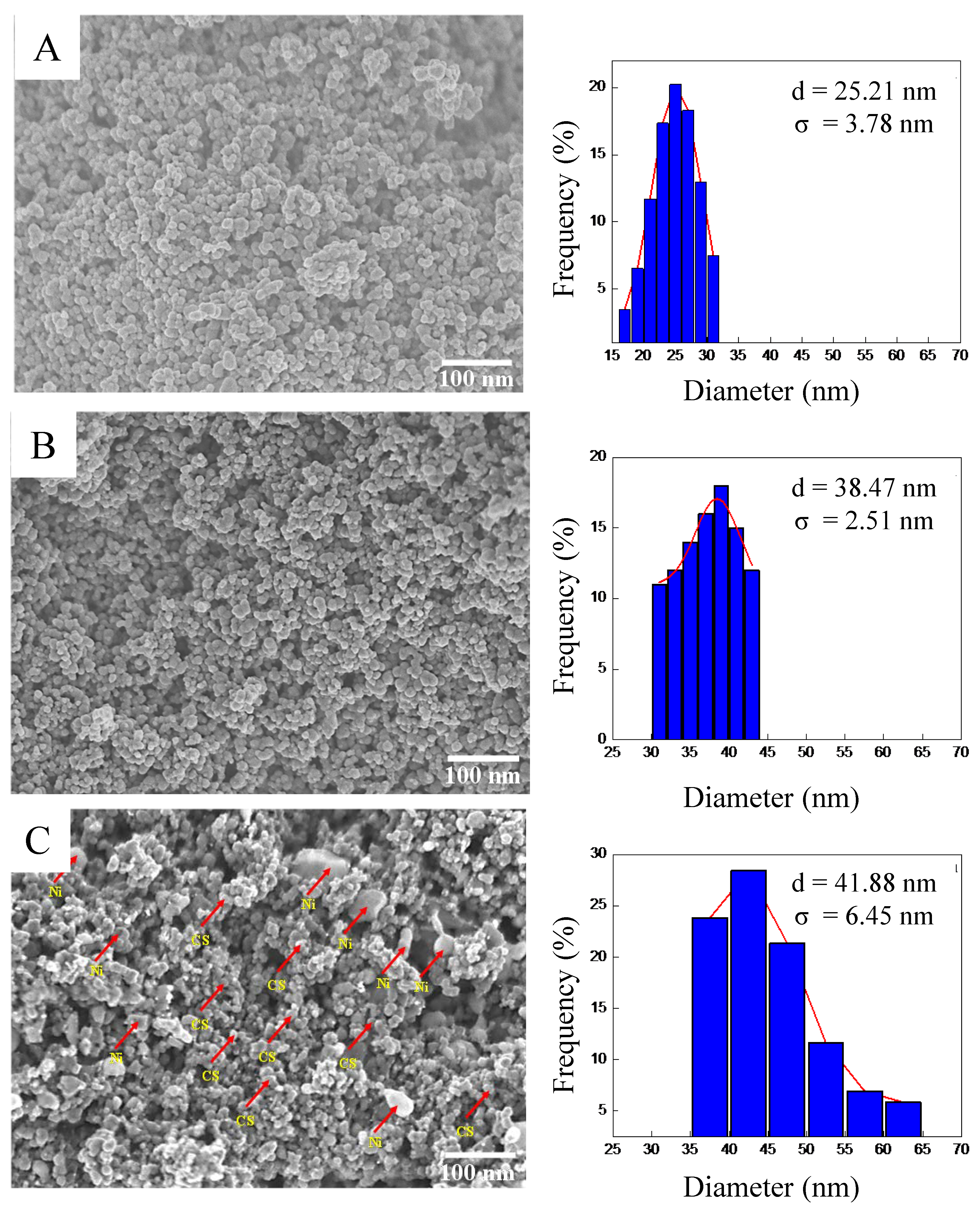 Nanomaterials 14 01042 g004