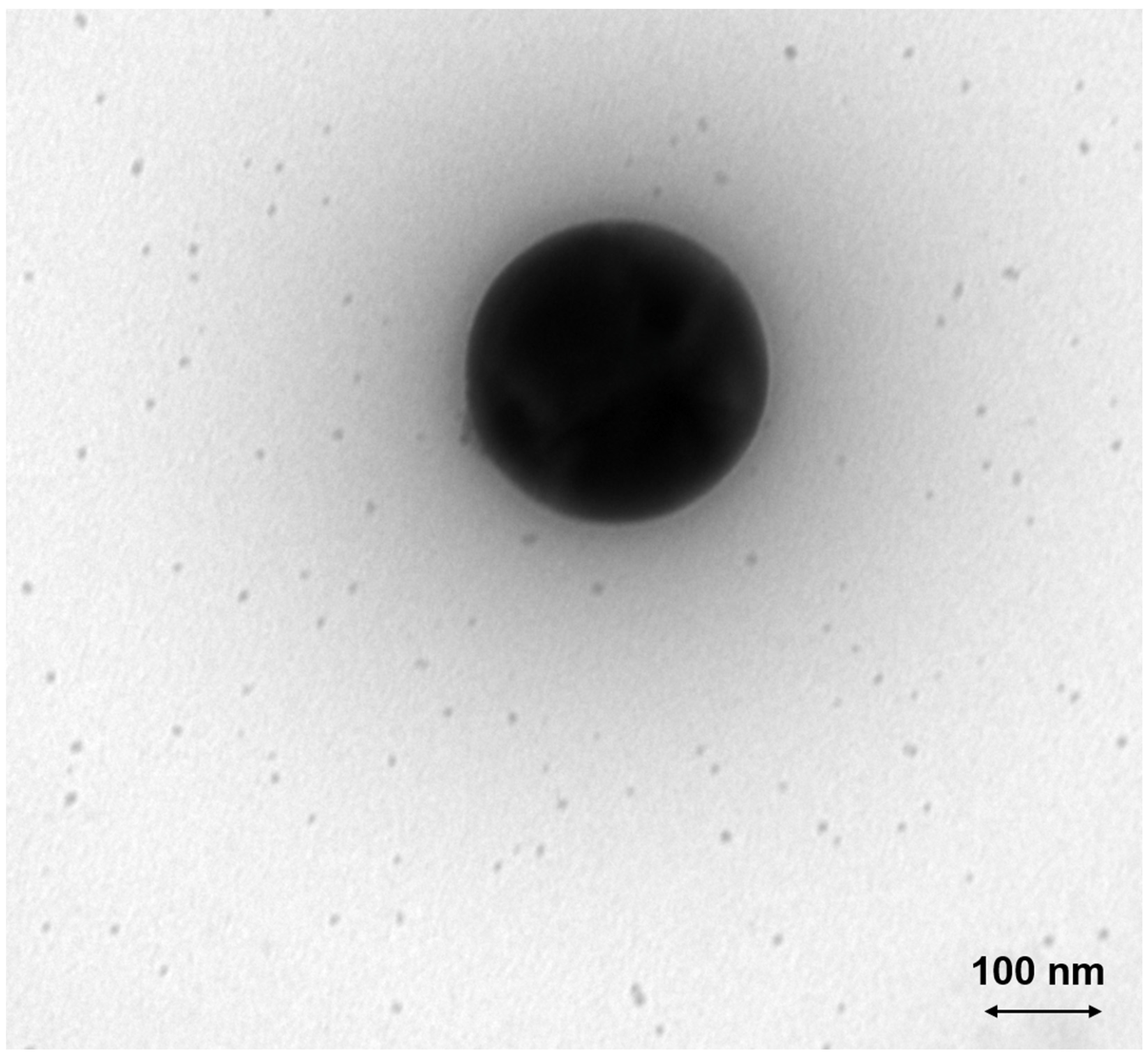 Nanomaterials 14 01047 g009 Nanomaterials 14 01047 g009