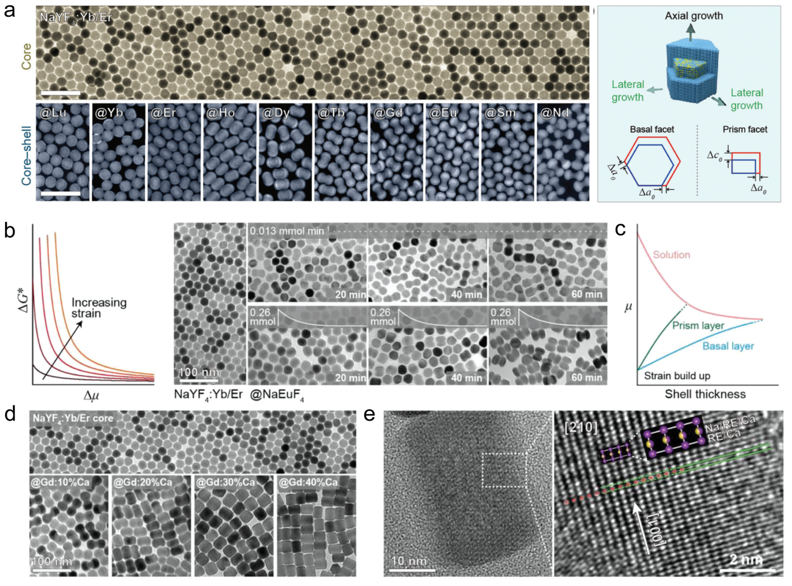 Nanomaterials 14 01063 g005