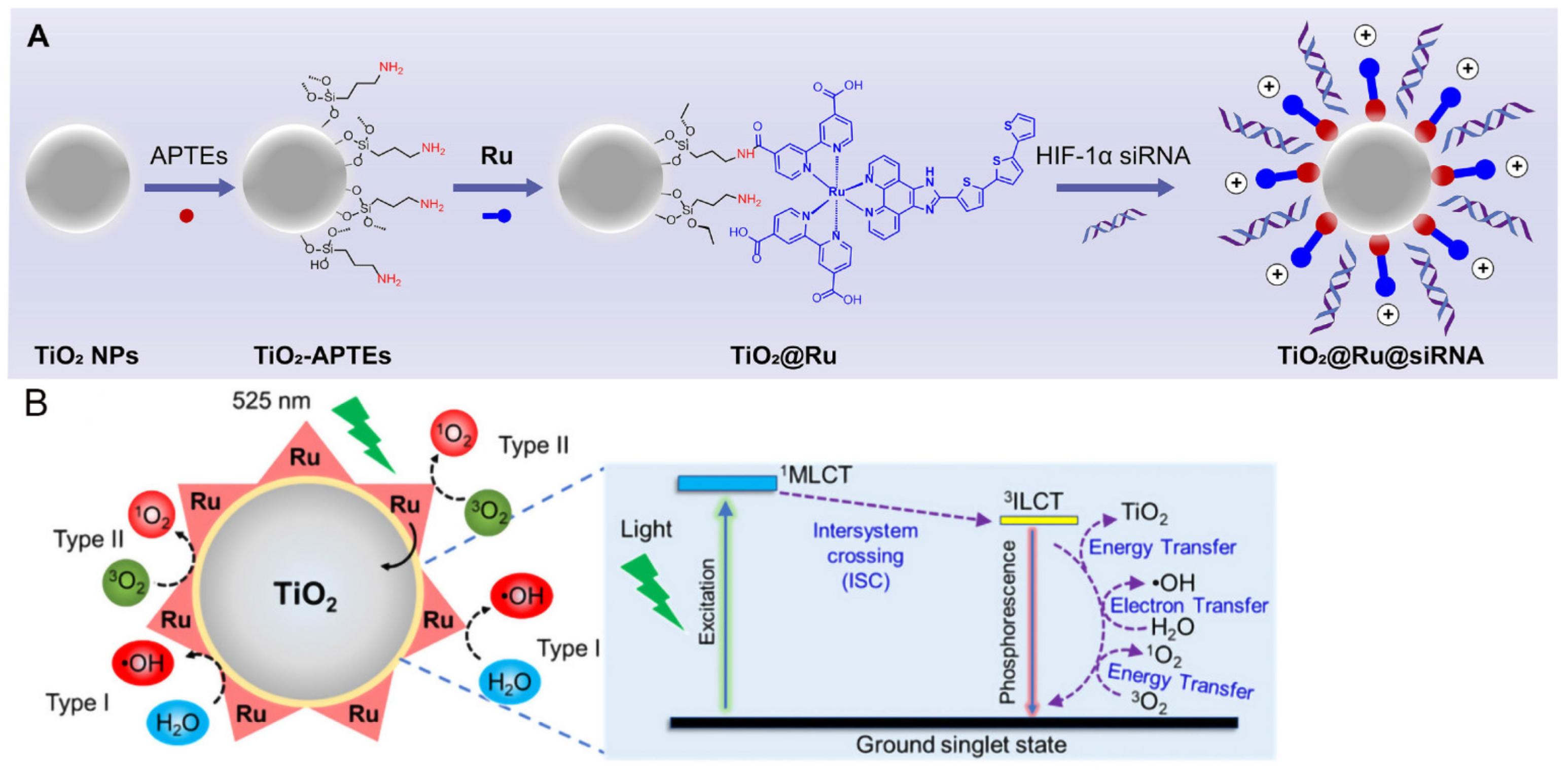 Nanomaterials 14 01064 g001