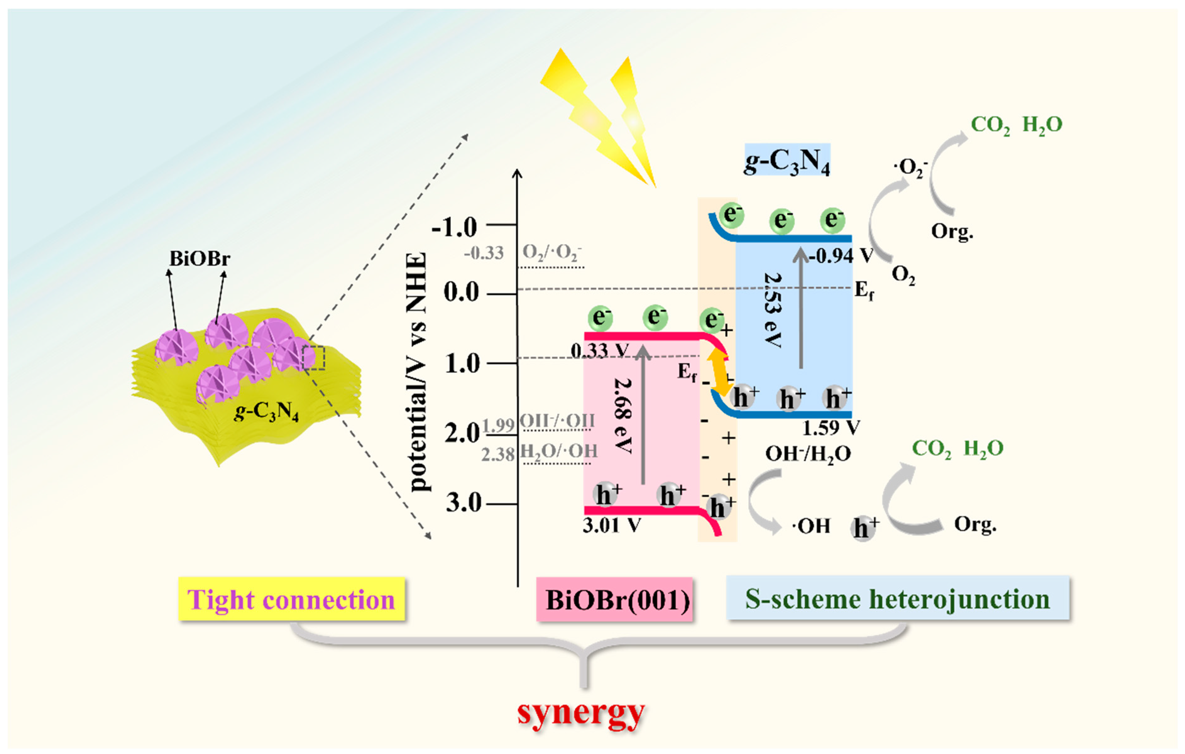 Nanomaterials 14 01071 g007