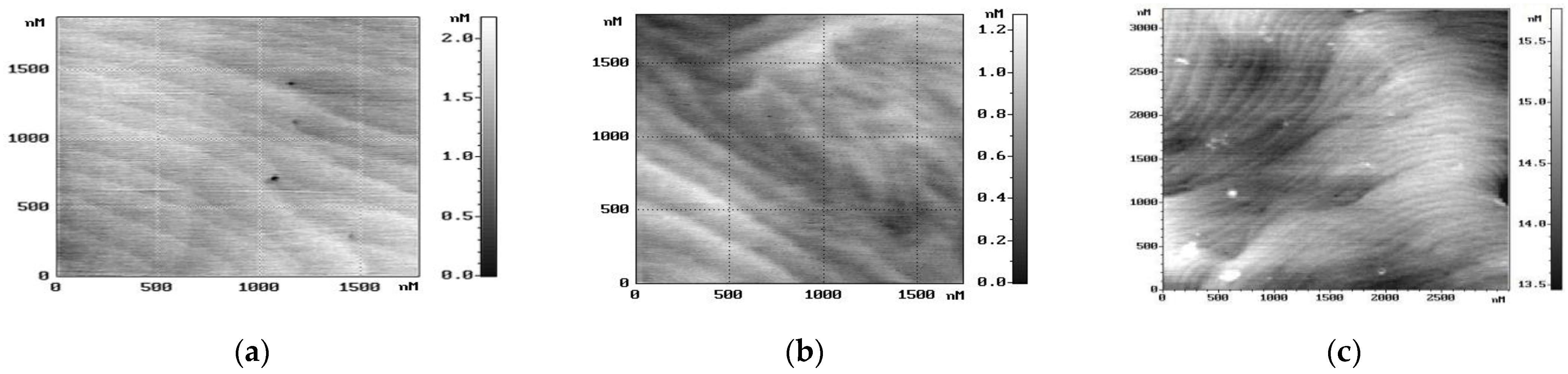Nanomaterials 14 01072 g001