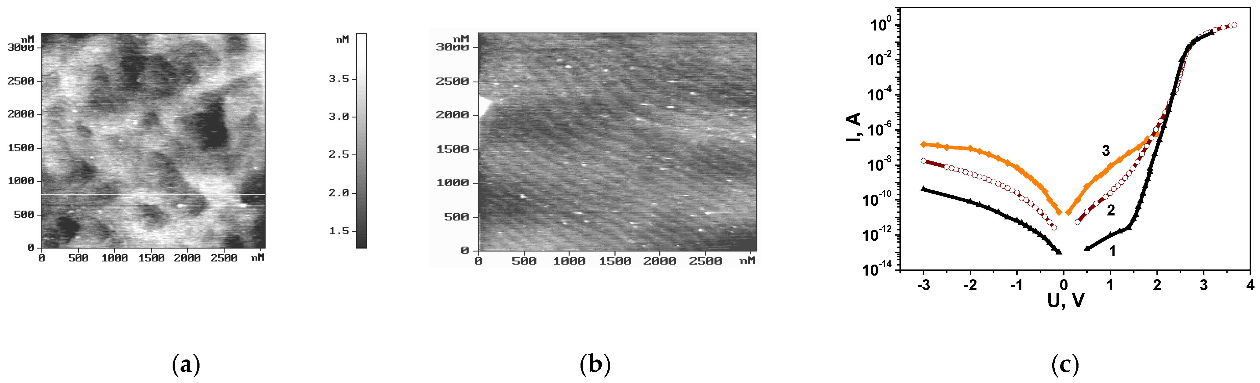Nanomaterials 14 01072 g002
