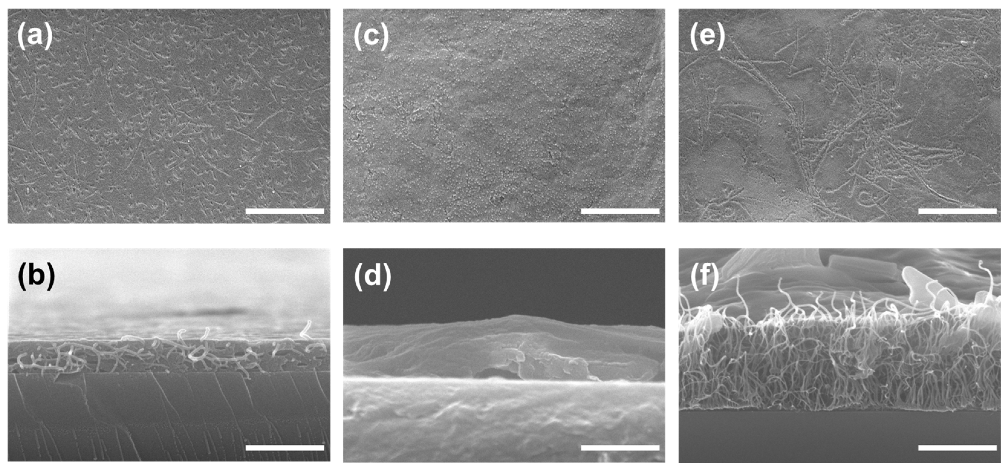 Nanomaterials 14 01073 g006
