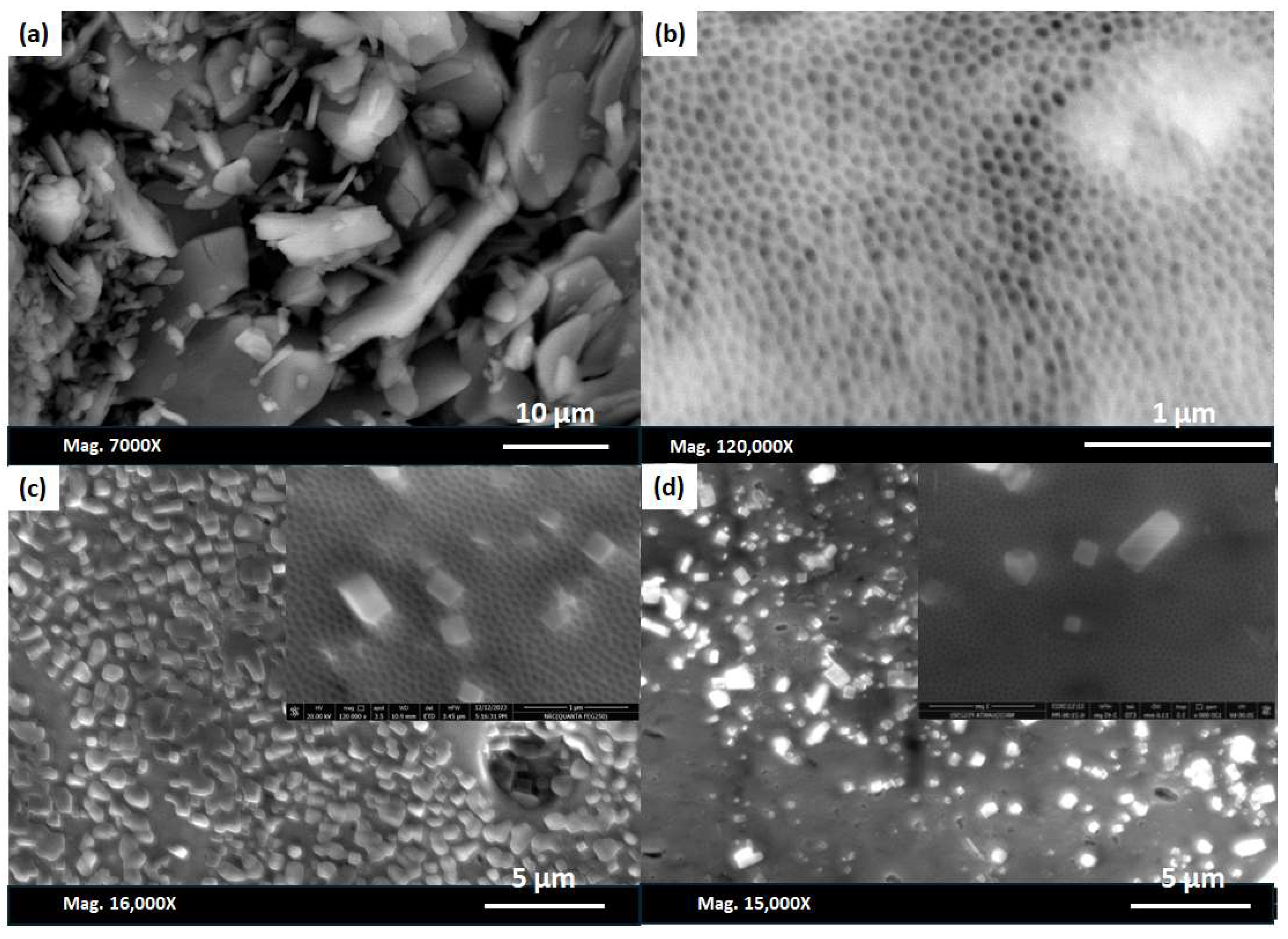 Nanomaterials 14 01078 g009 Nanomaterials 14 01078 g009
