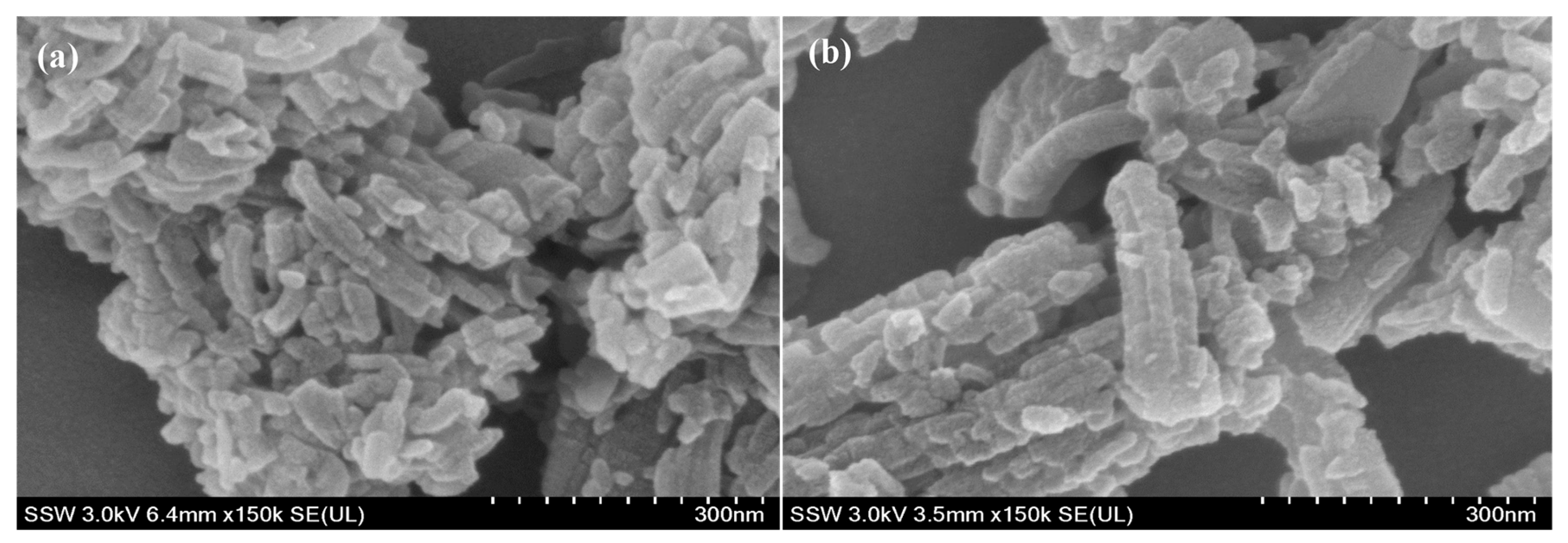 Nanomaterials 14 01081 g002a