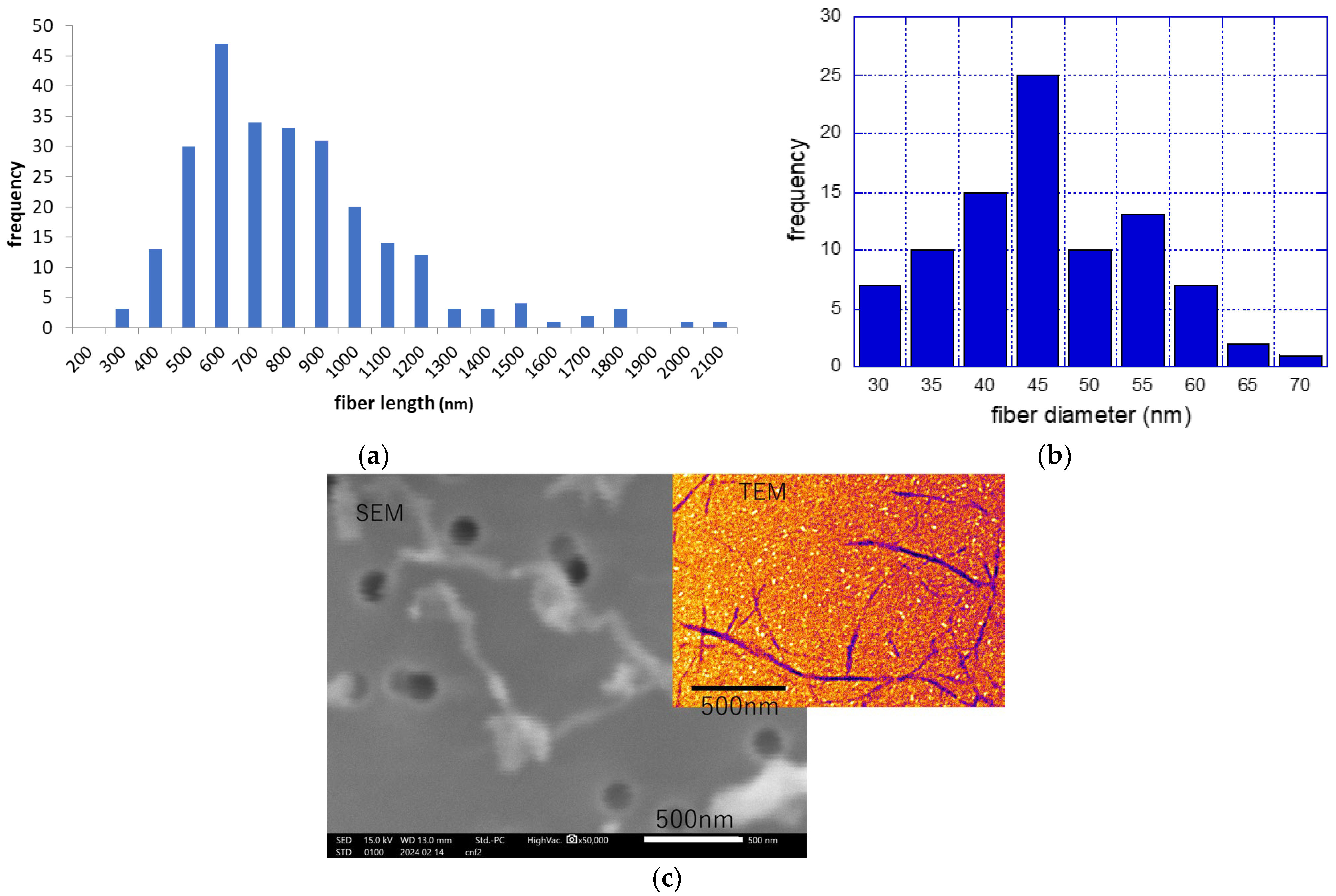 Nanomaterials 14 01082 g001
