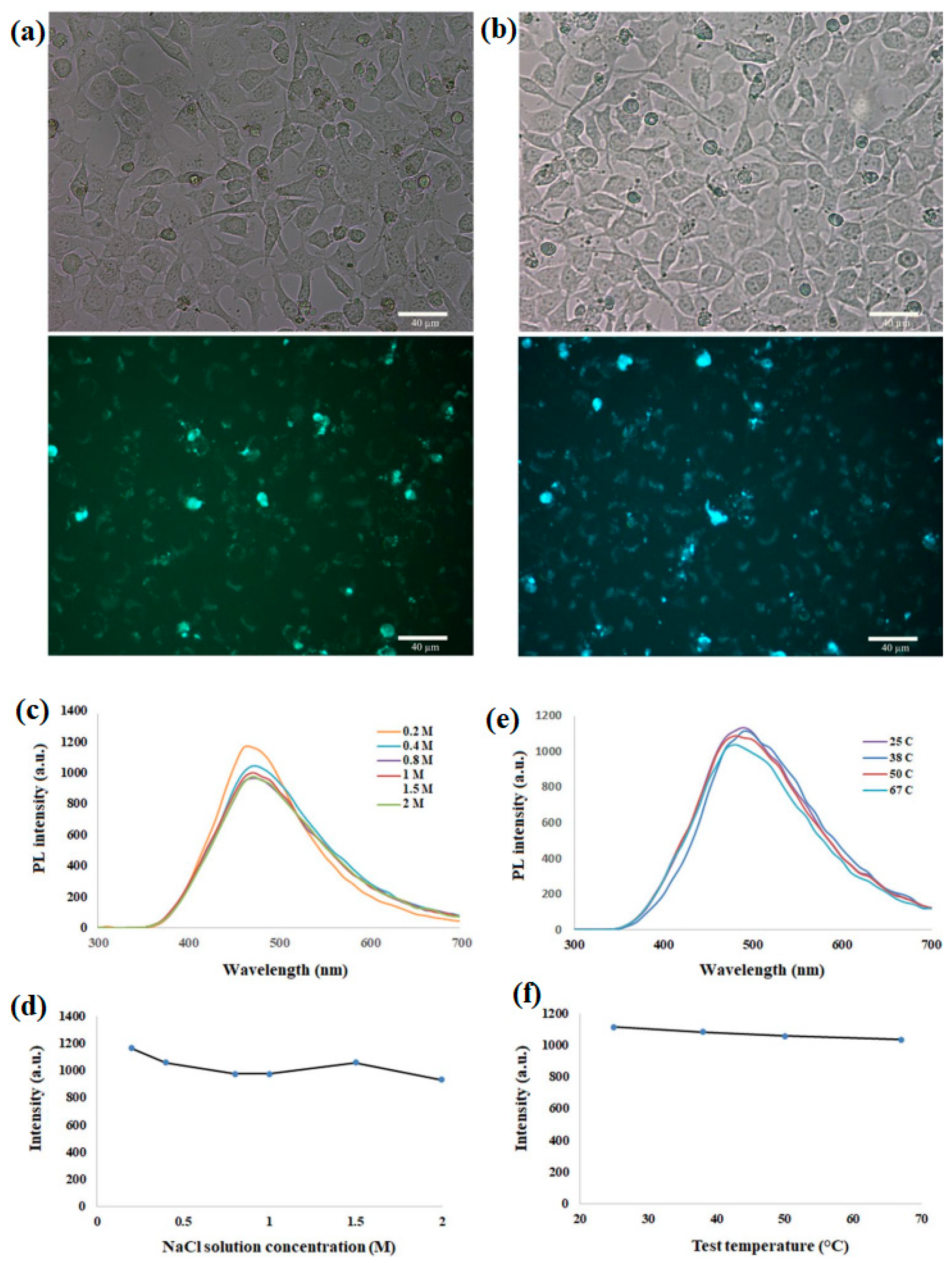 Nanomaterials 14 01085 g004