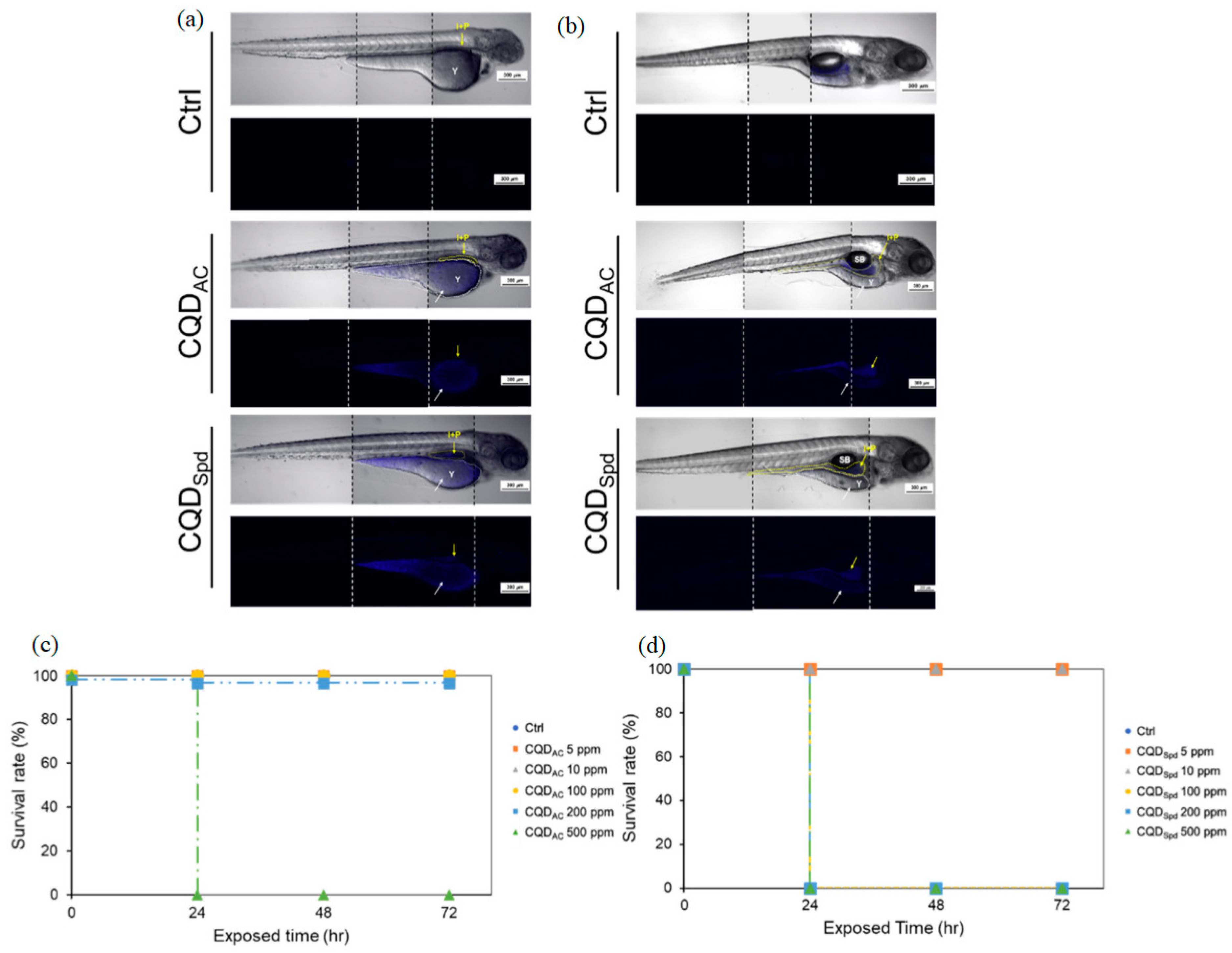 Nanomaterials 14 01085 g006