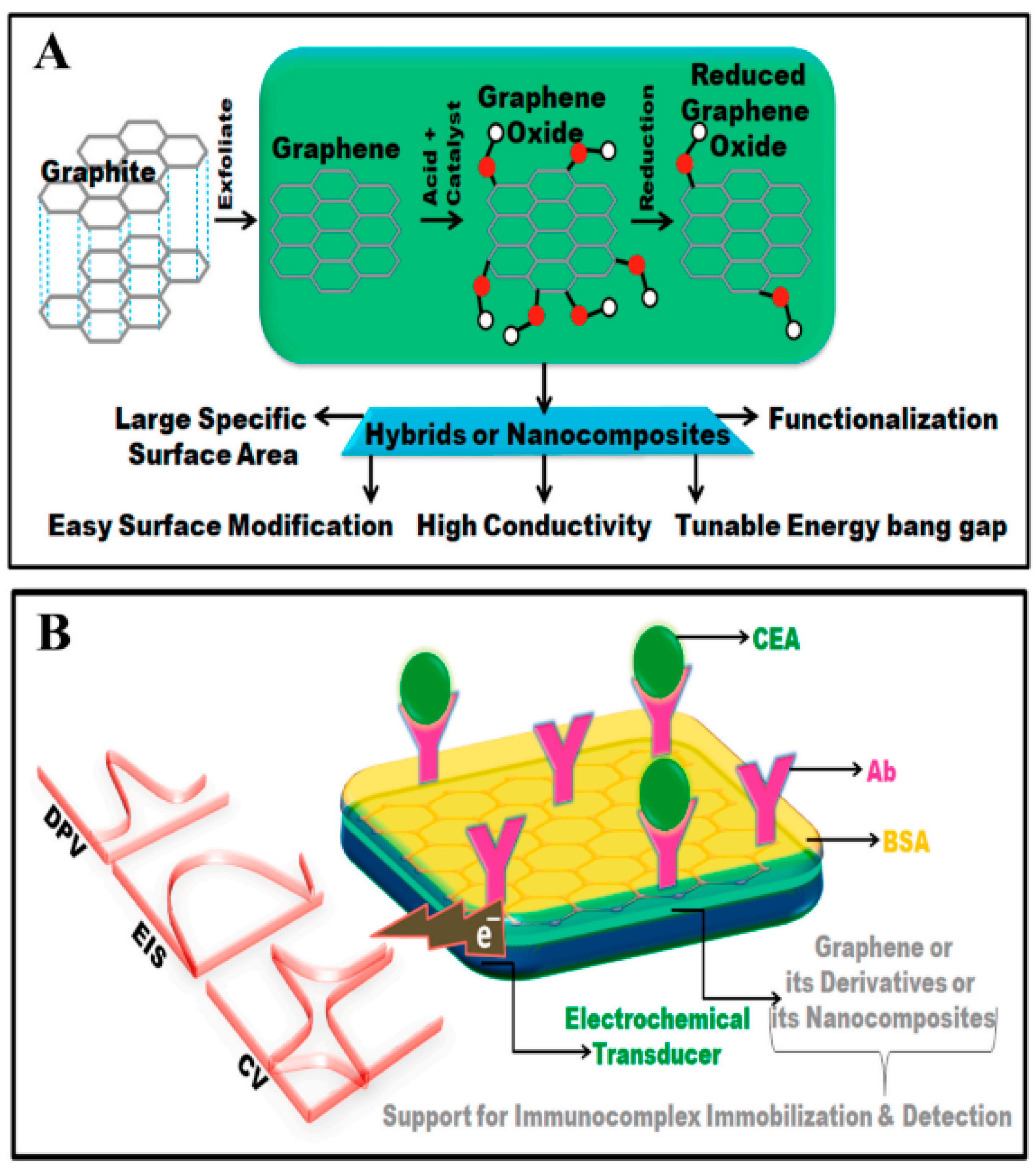 Nanomaterials 14 01085 g007