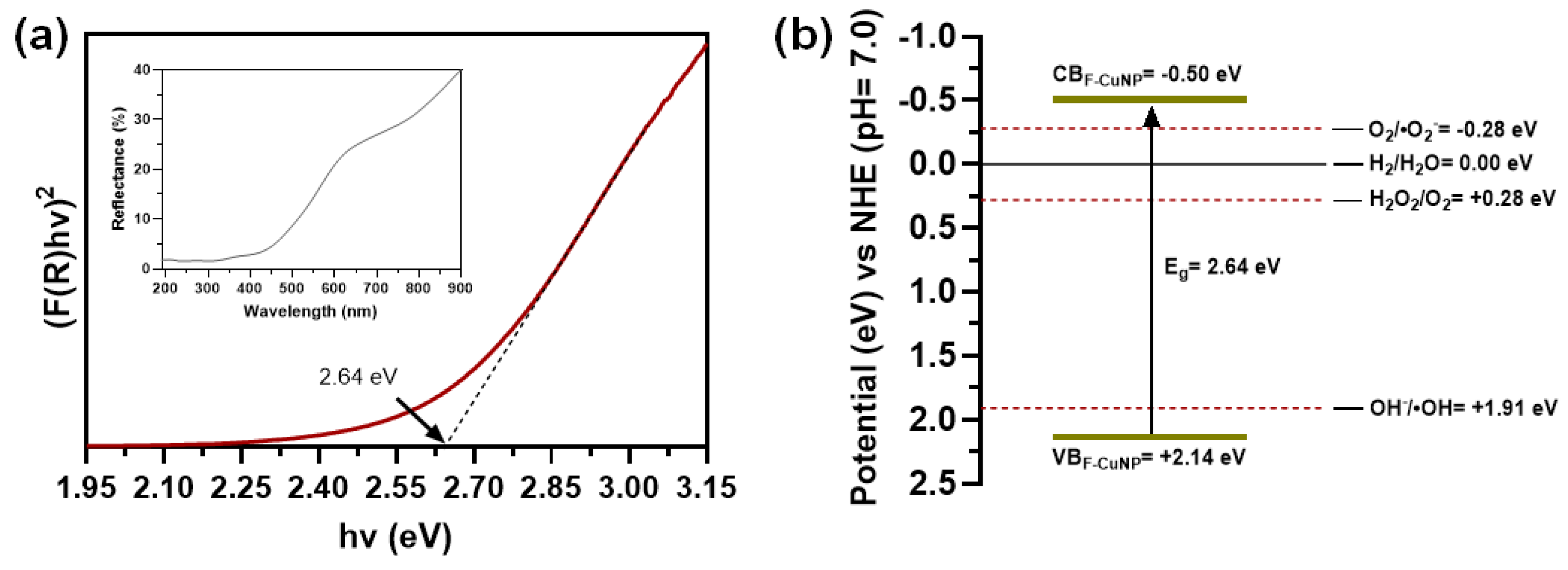 Nanomaterials 14 01087 g007
