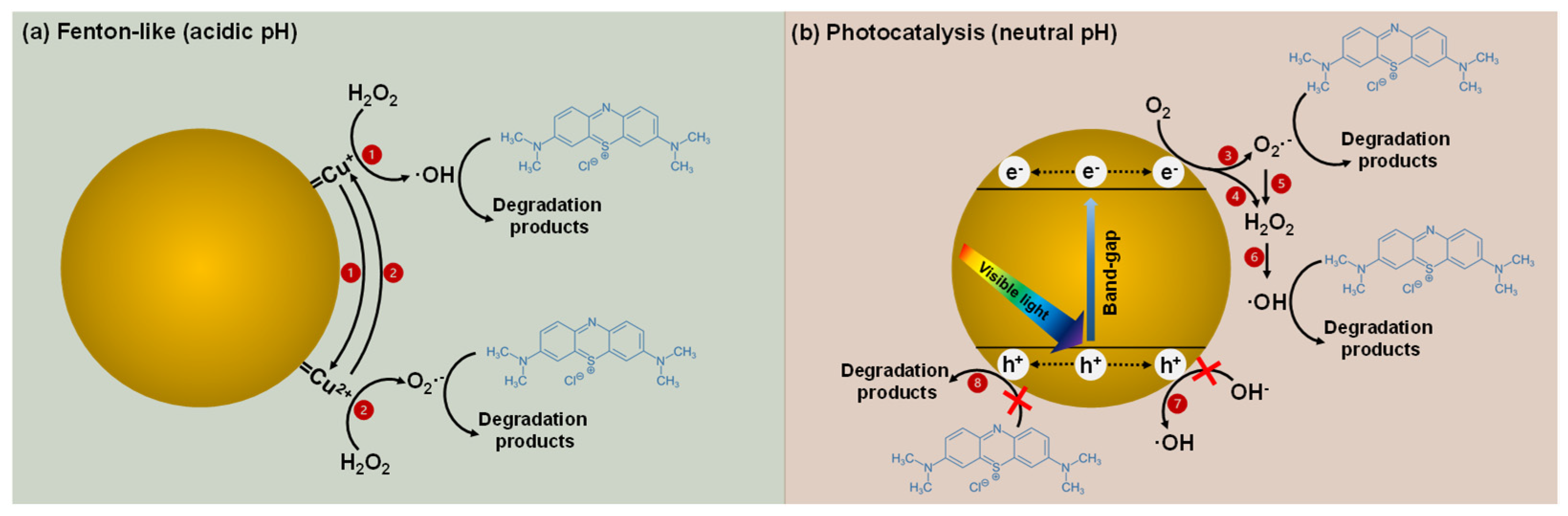 Nanomaterials 14 01087 g013