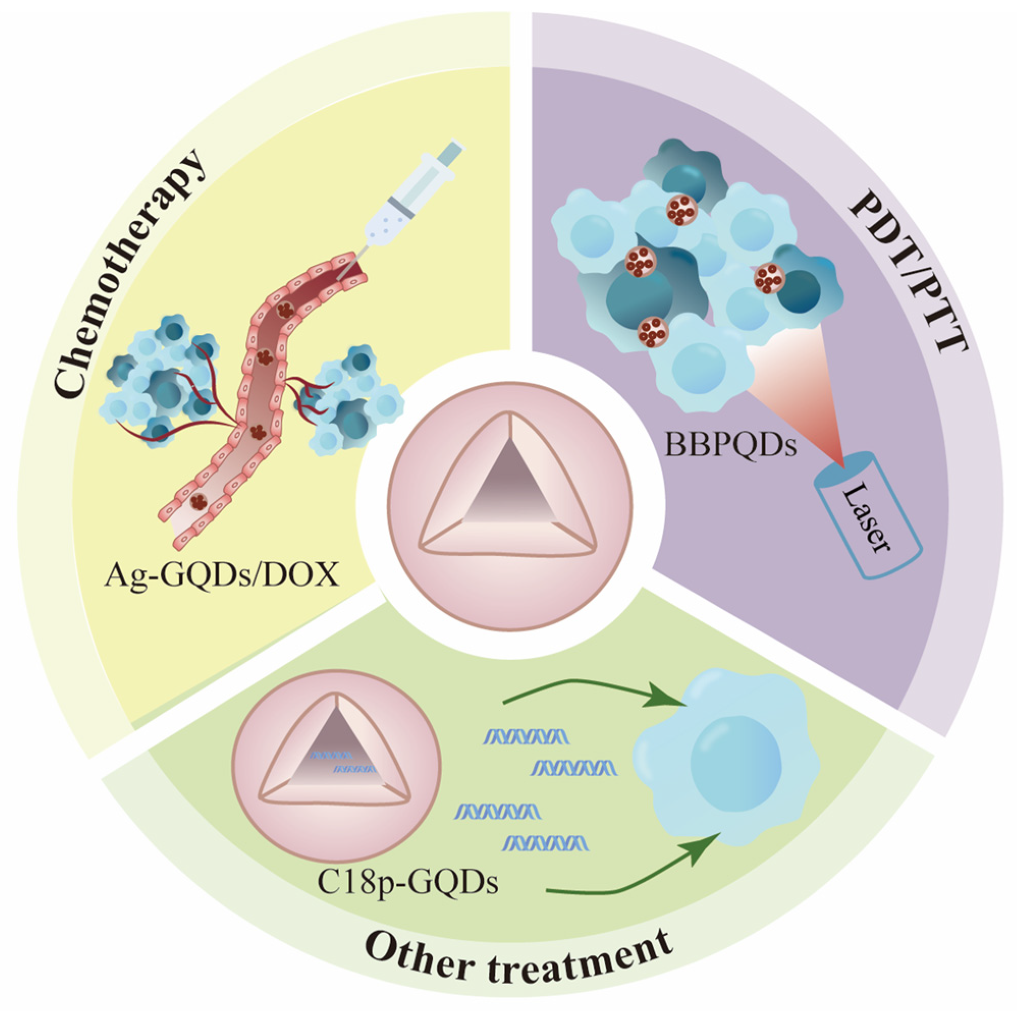 Nanomaterials 14 01088 g005