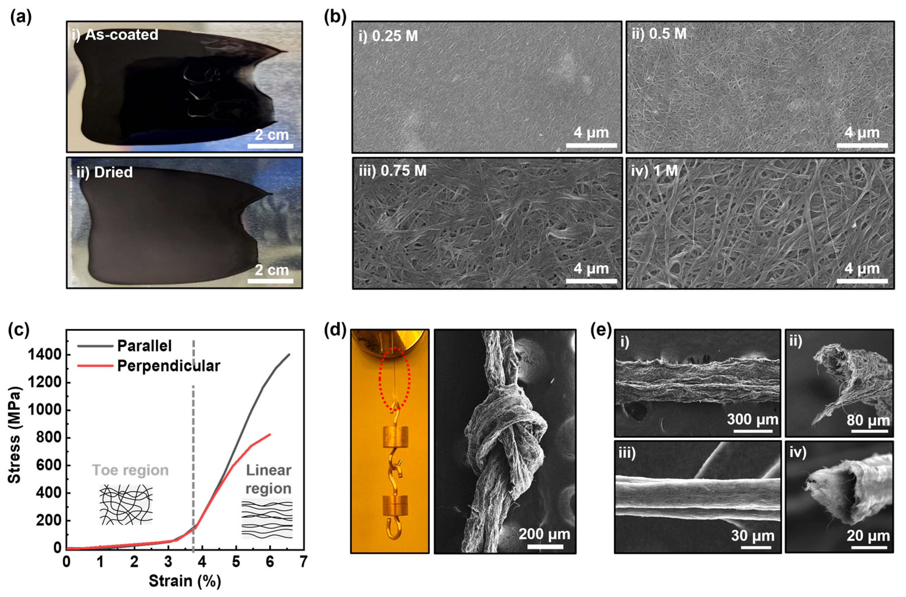 Nanomaterials 14 01094 g003