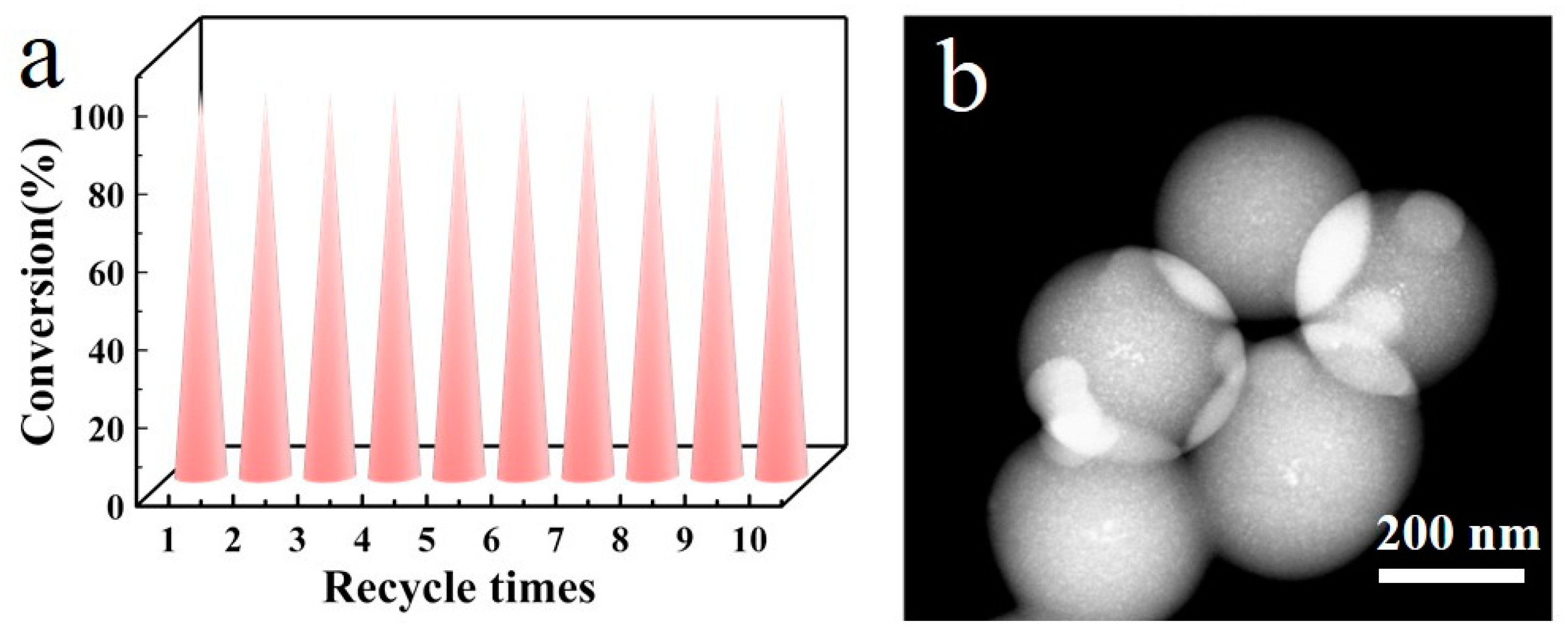 Nanomaterials 14 01095 g008