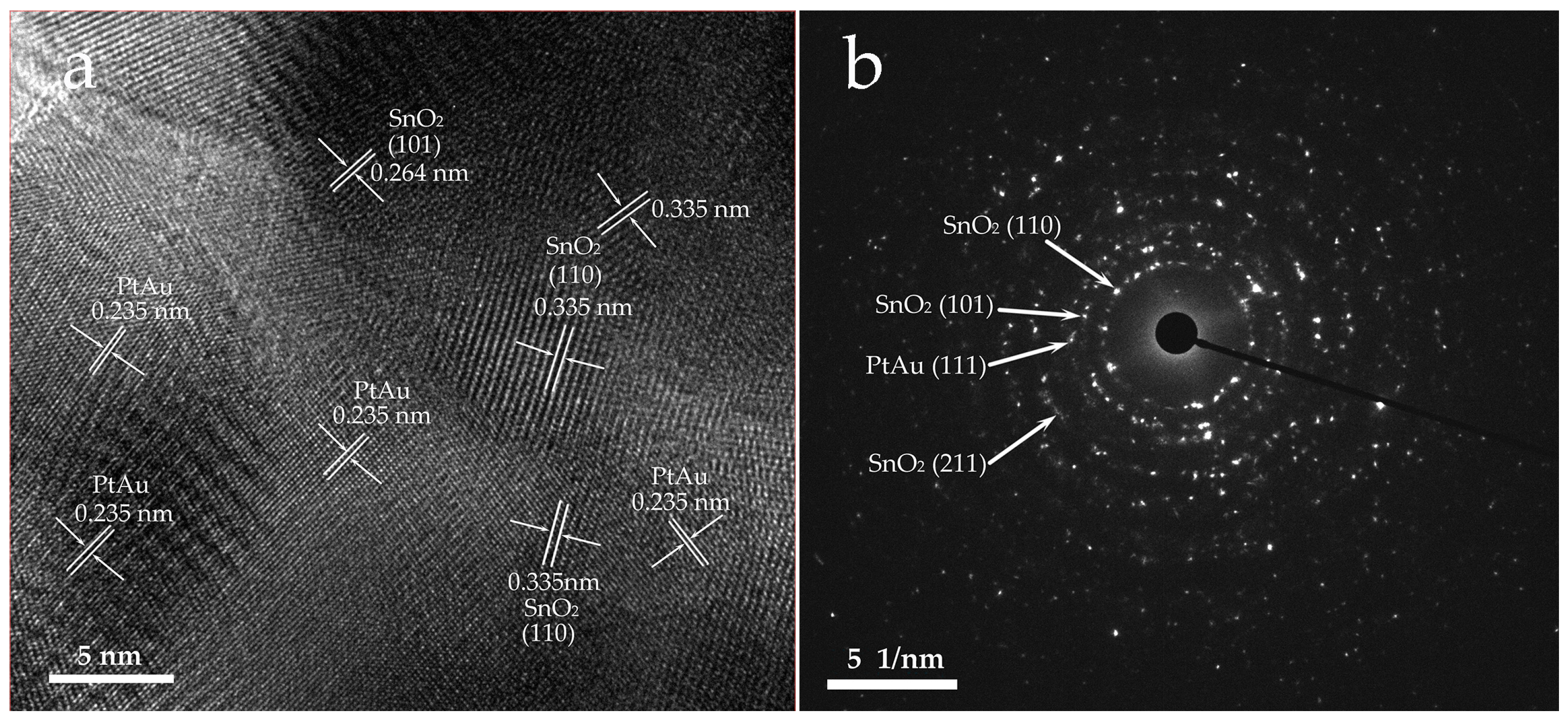 Nanomaterials 14 01097 g004