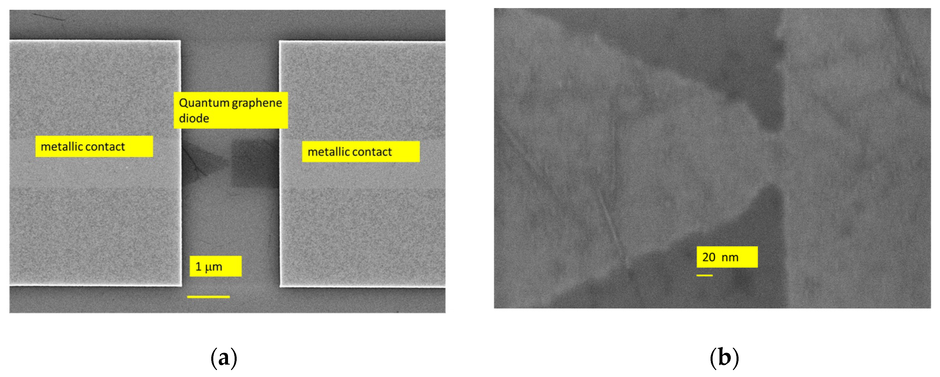 Nanomaterials 14 01114 g004