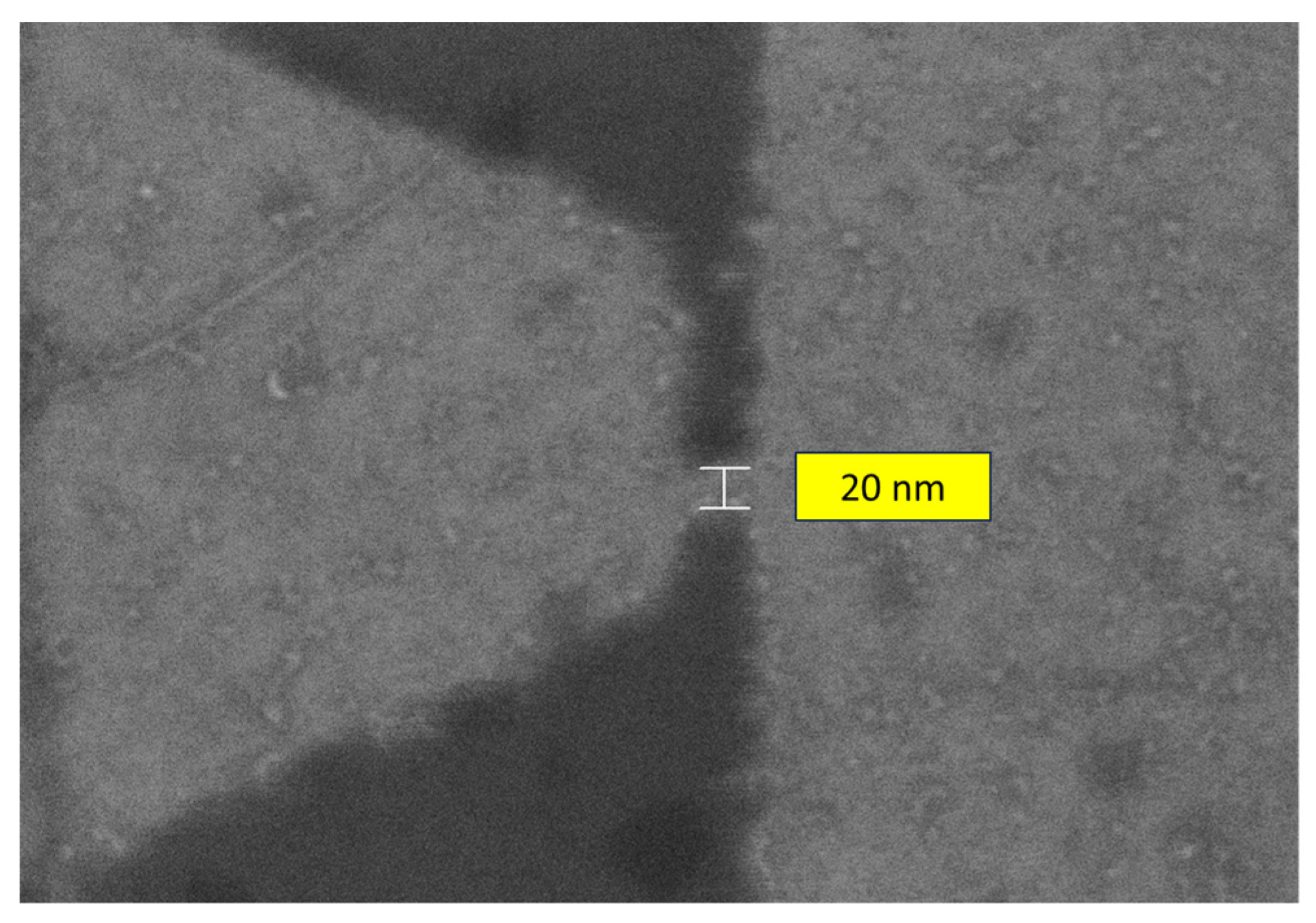 Nanomaterials 14 01114 g009