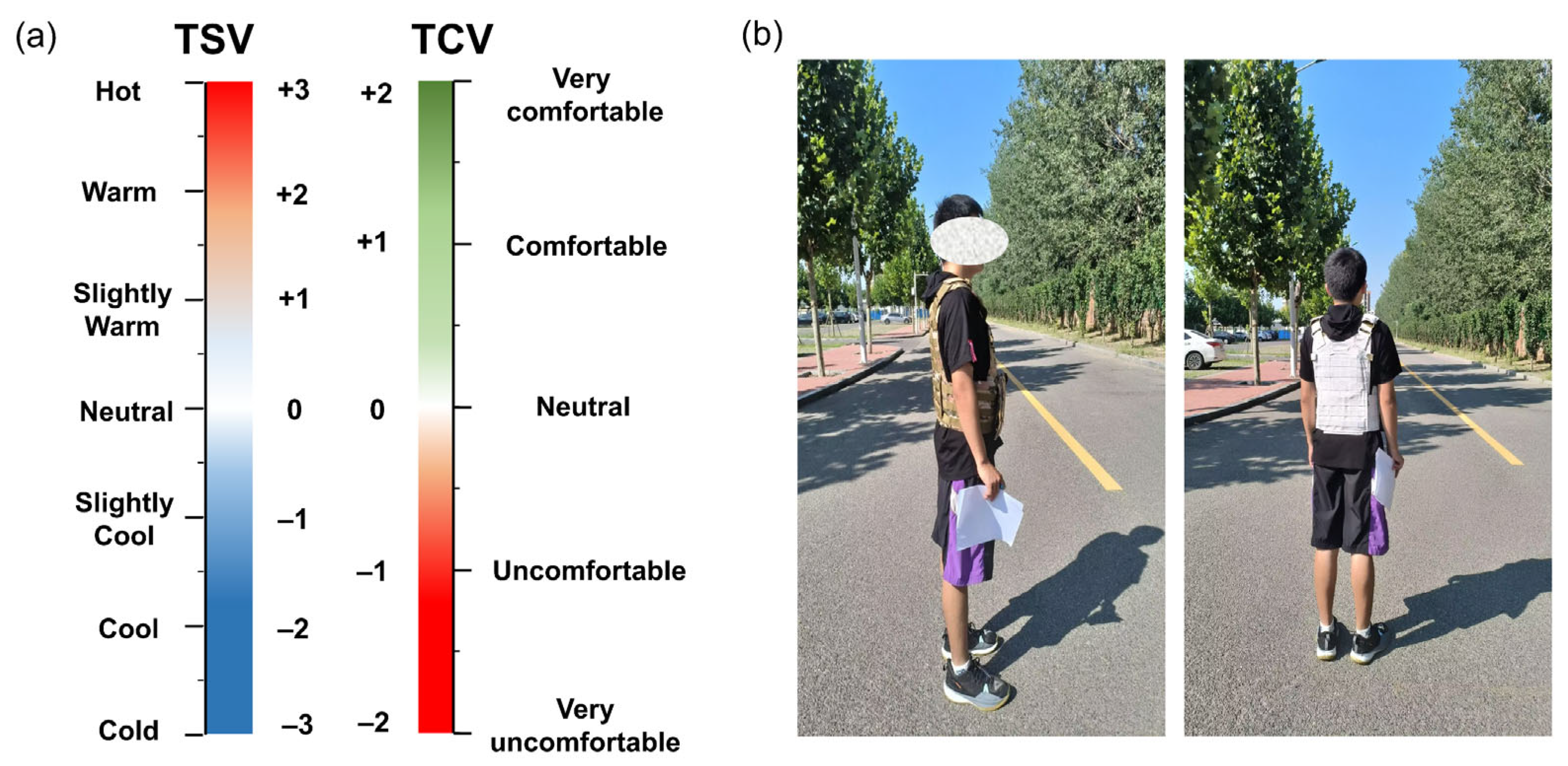 Nanomaterials 14 01119 g004