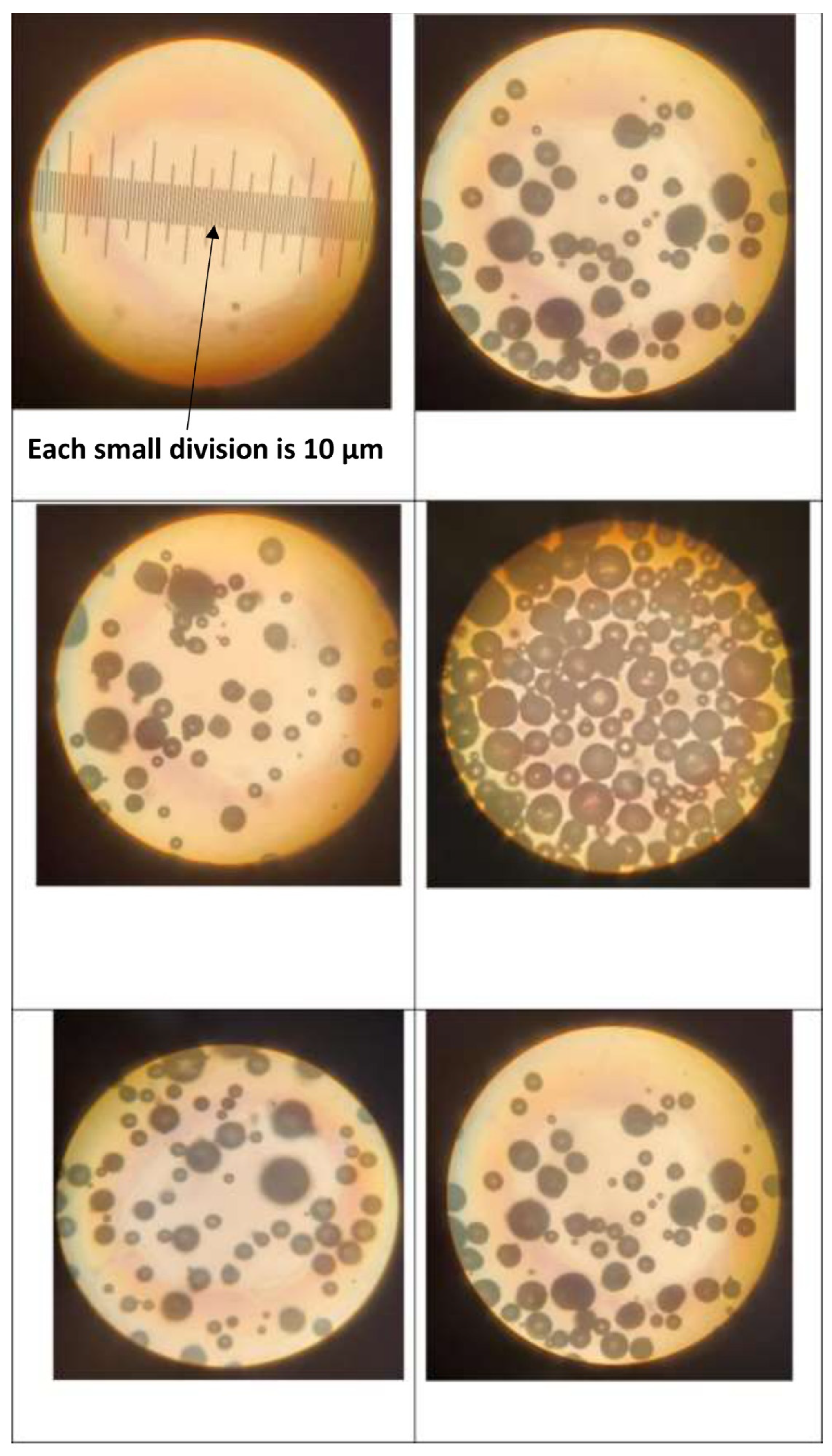 Nanomaterials 14 01122 g005
