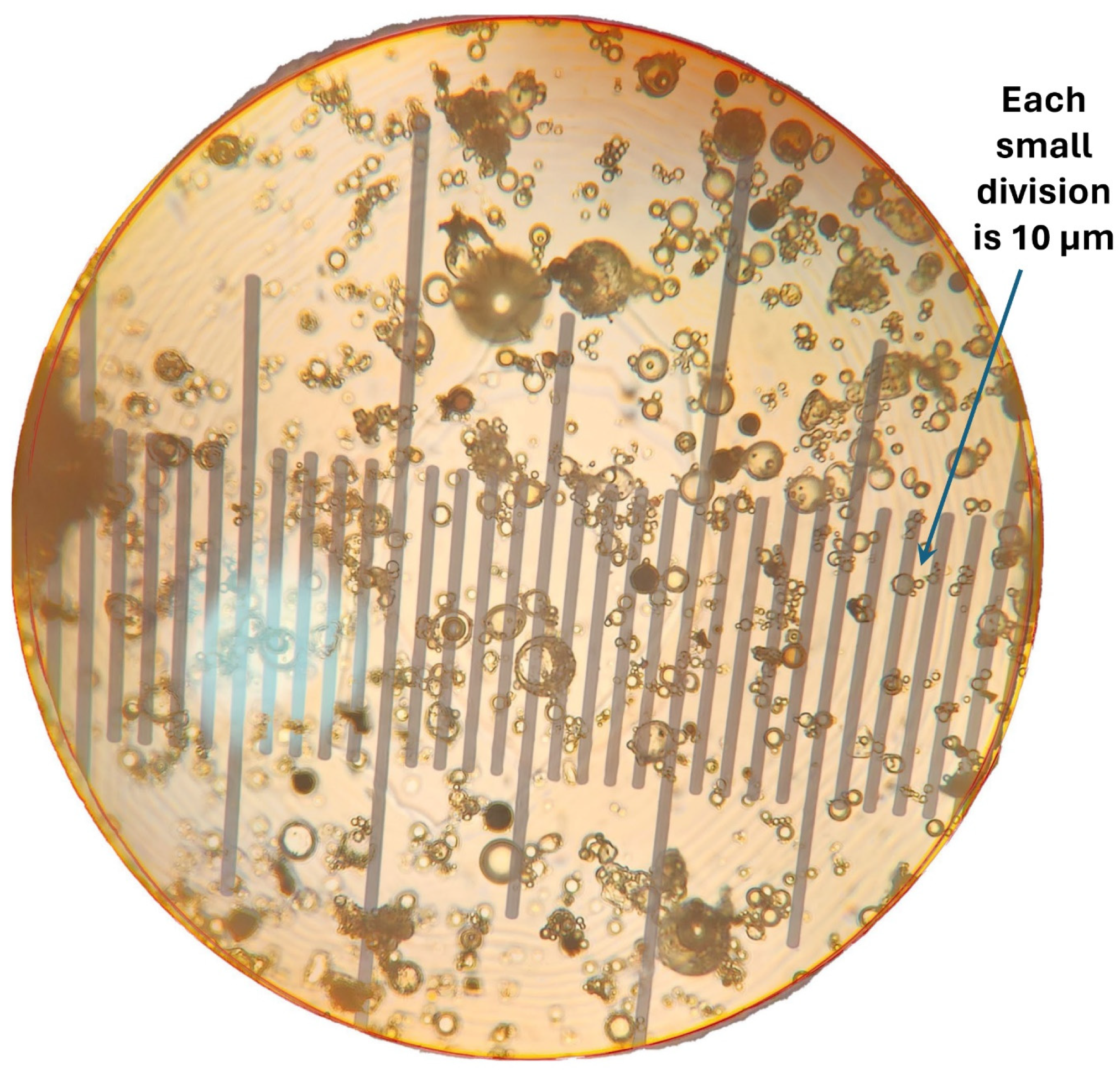 Nanomaterials 14 01122 g015