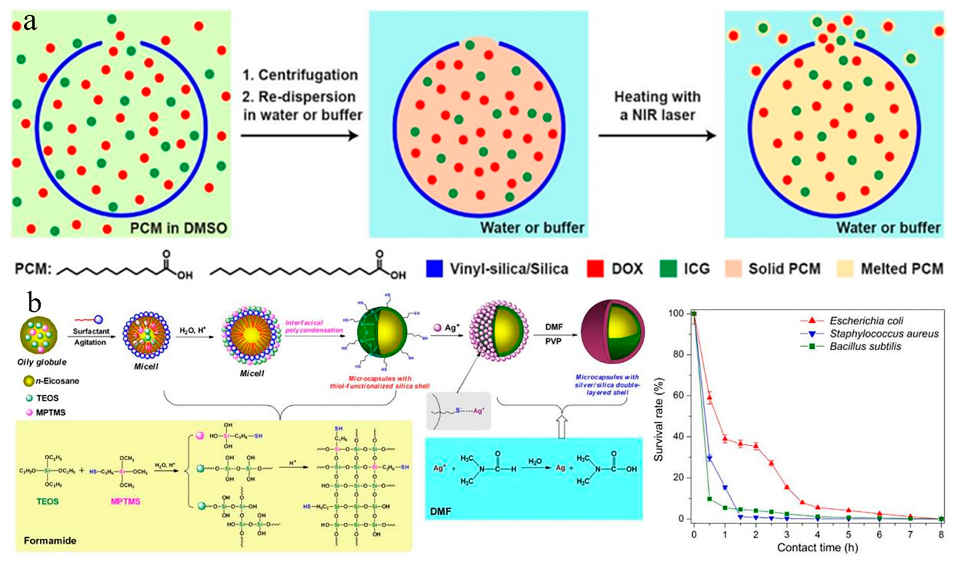 Nanomaterials 14 01126 g011