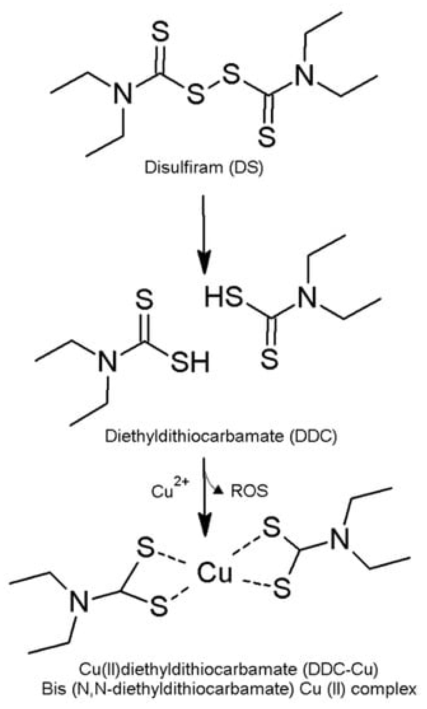 Nanomaterials 14 01133 g001
