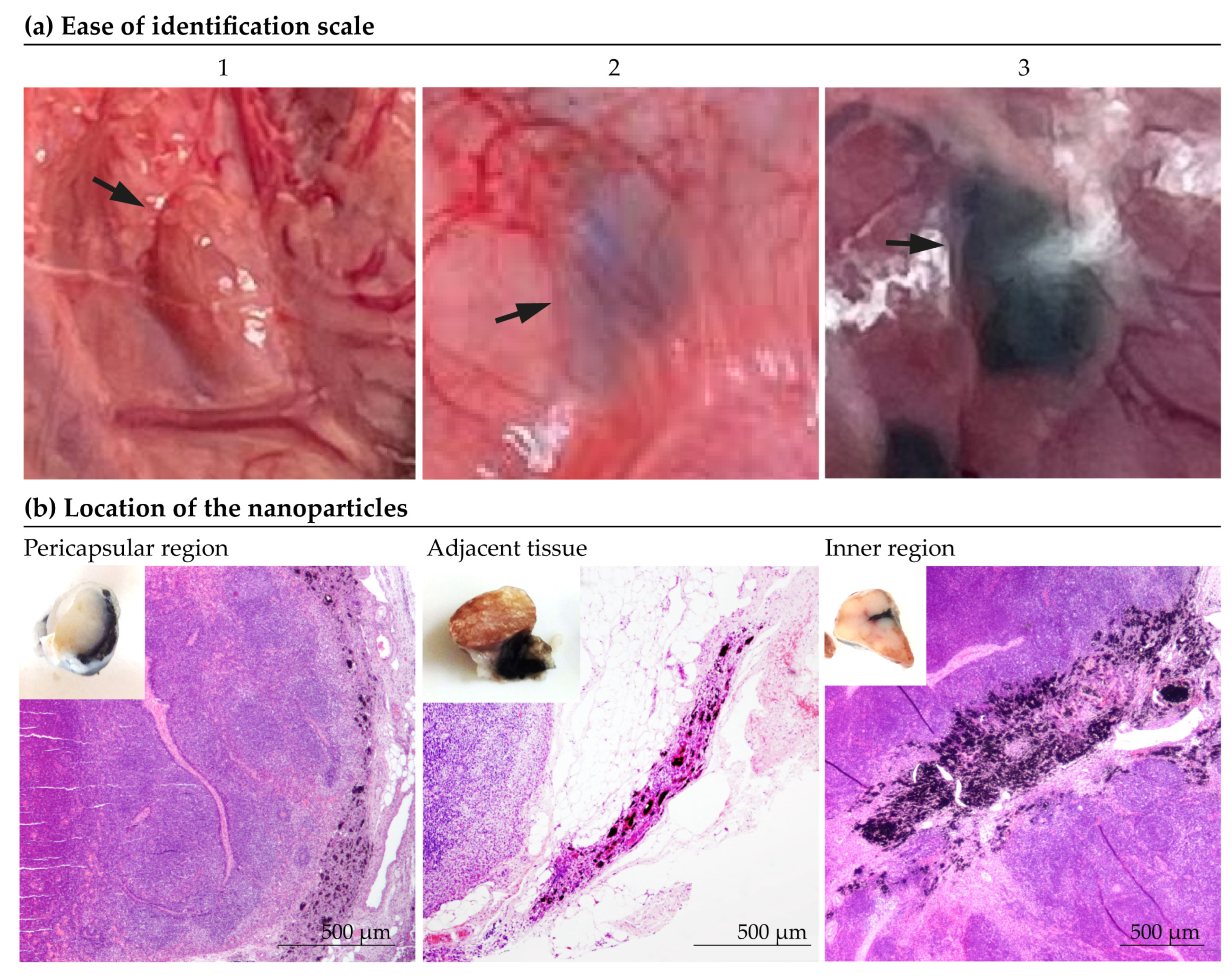 Nanomaterials 14 01149 g002