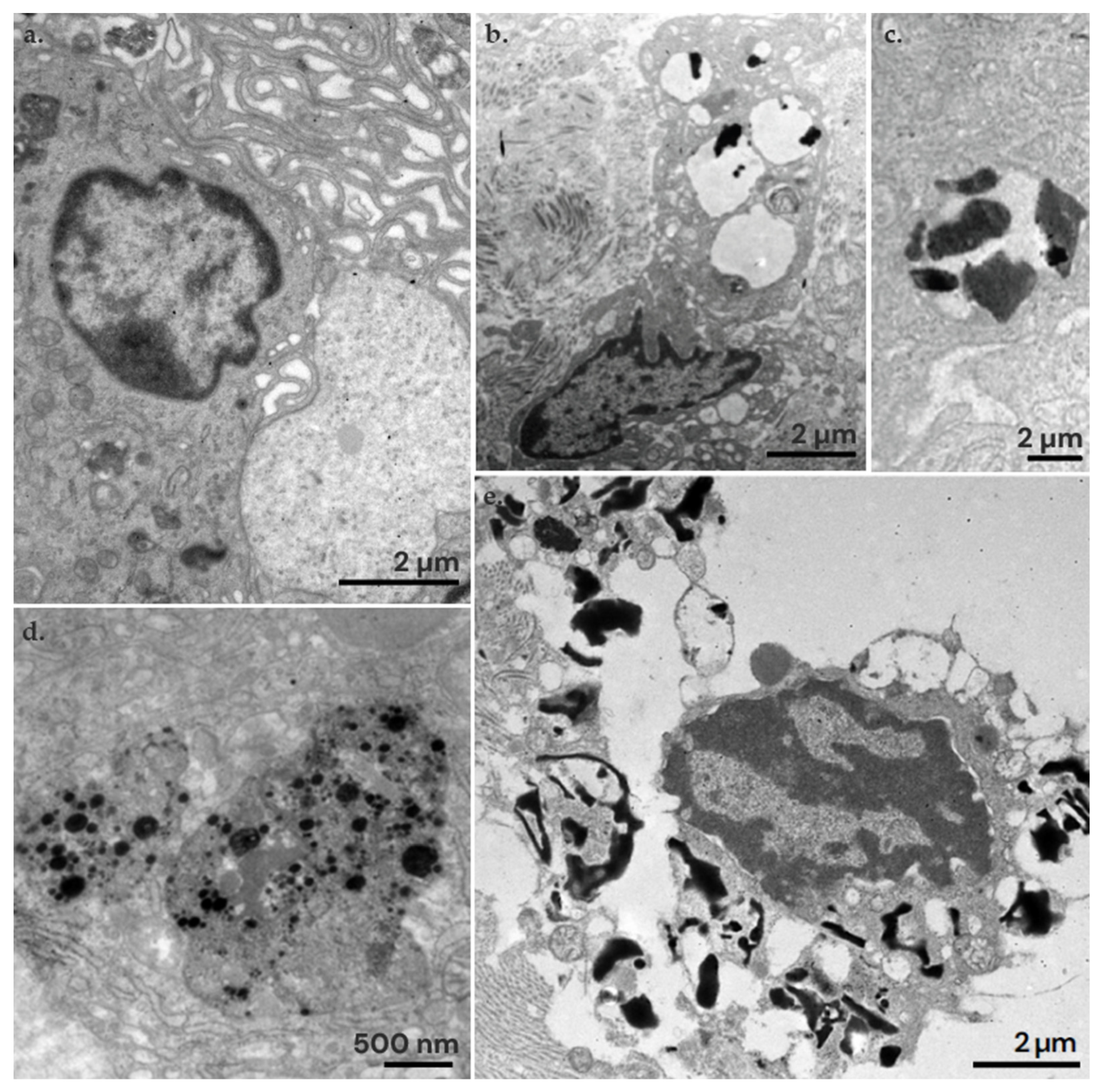Nanomaterials 14 01149 g008