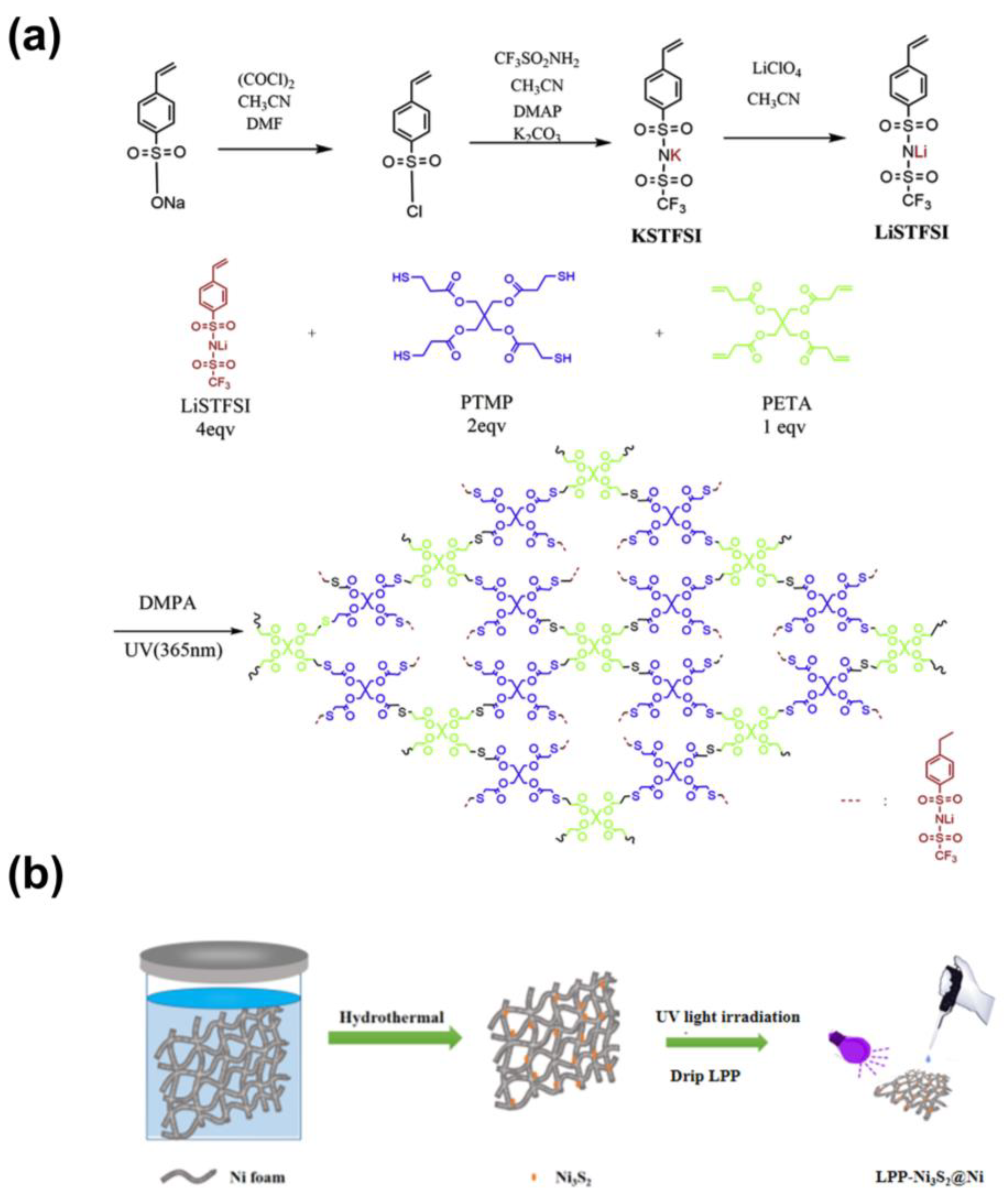 Nanomaterials 14 01158 g001