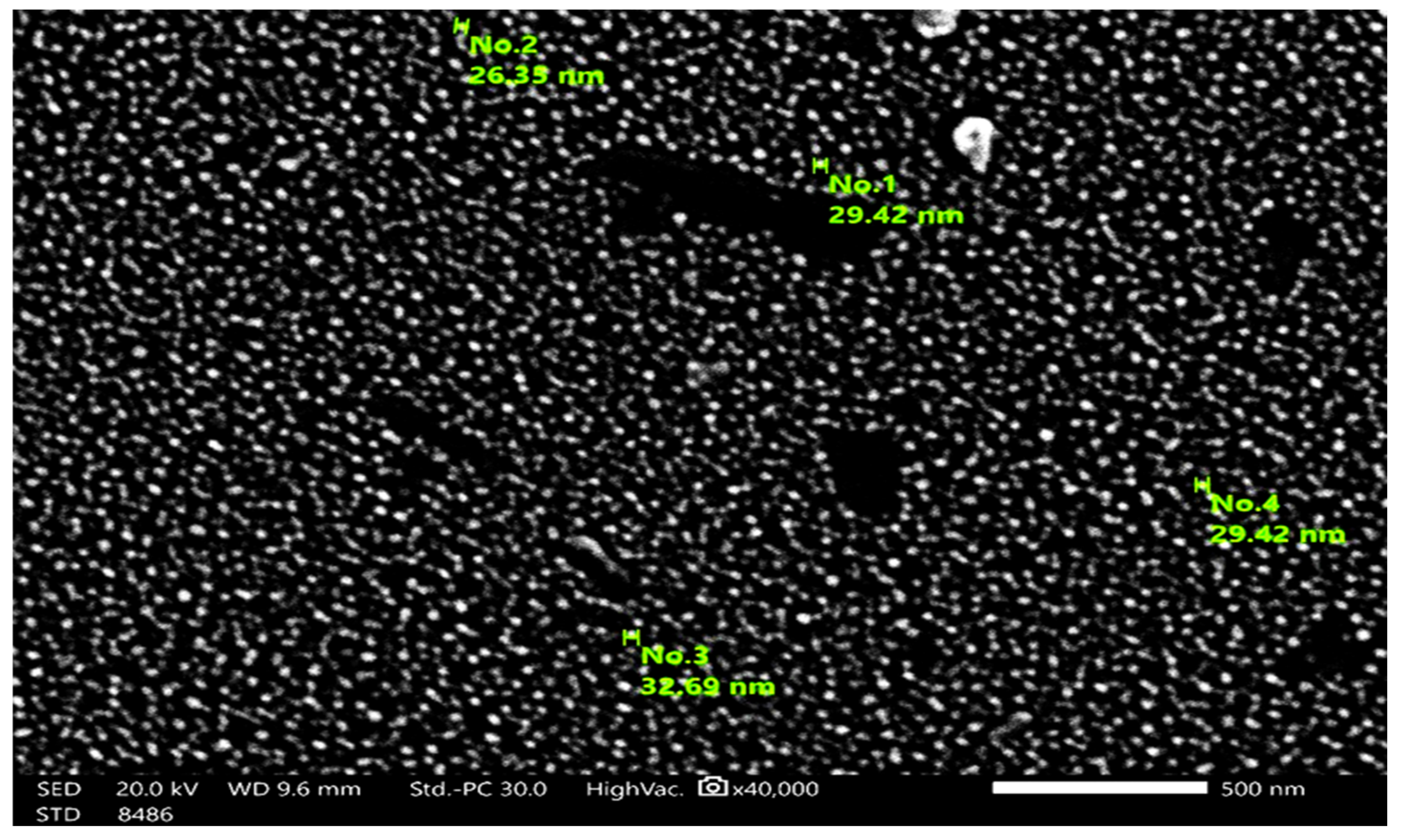 Nanomaterials 14 01164 g003
