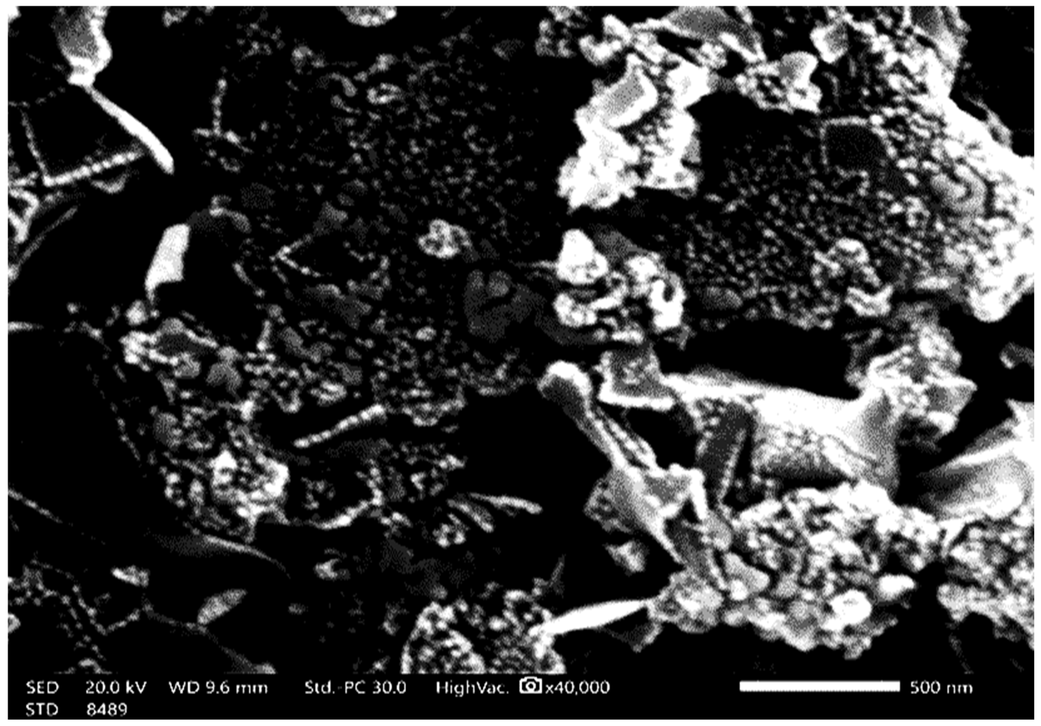 Nanomaterials 14 01164 g004