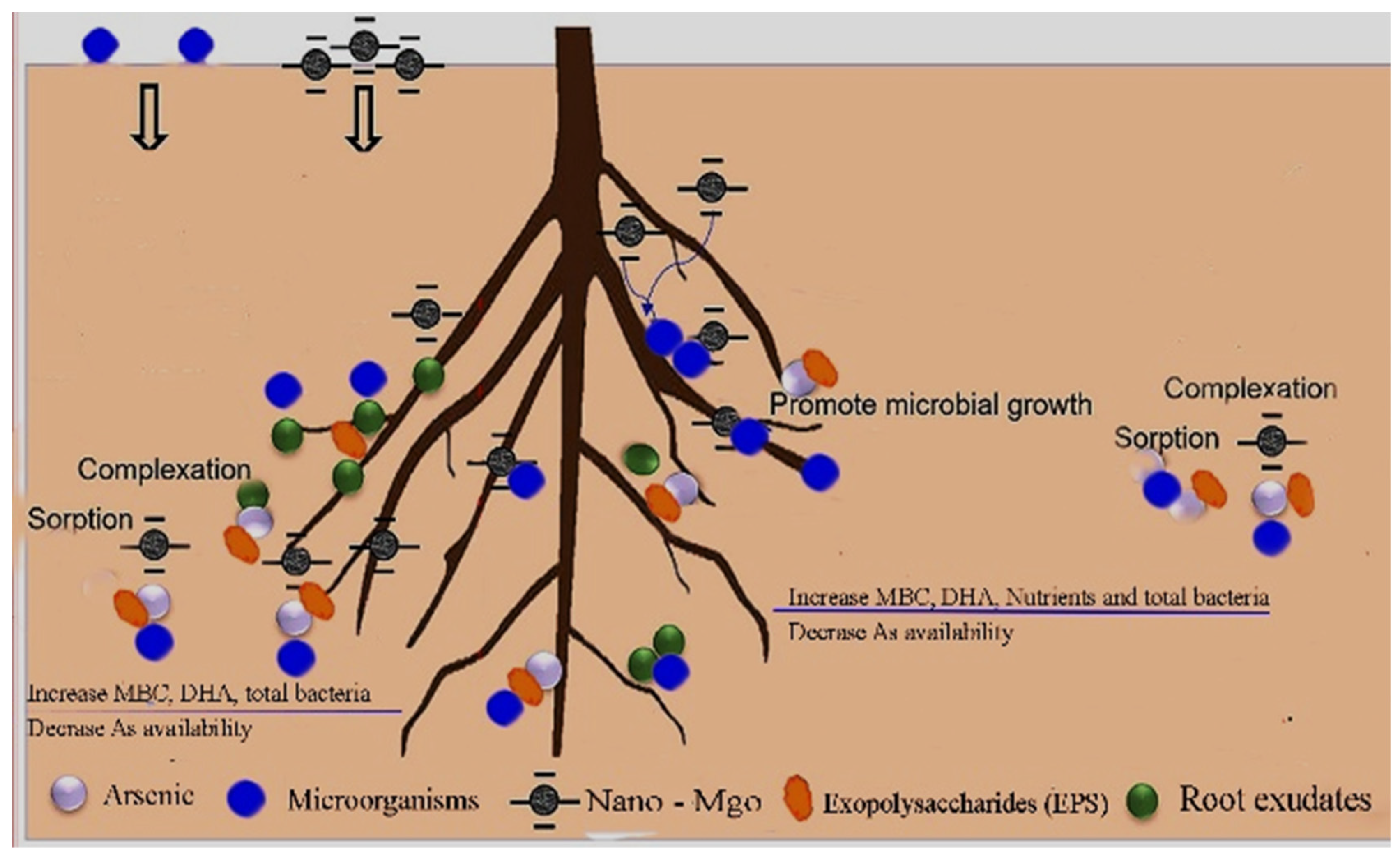 Nanomaterials 14 01164 g007