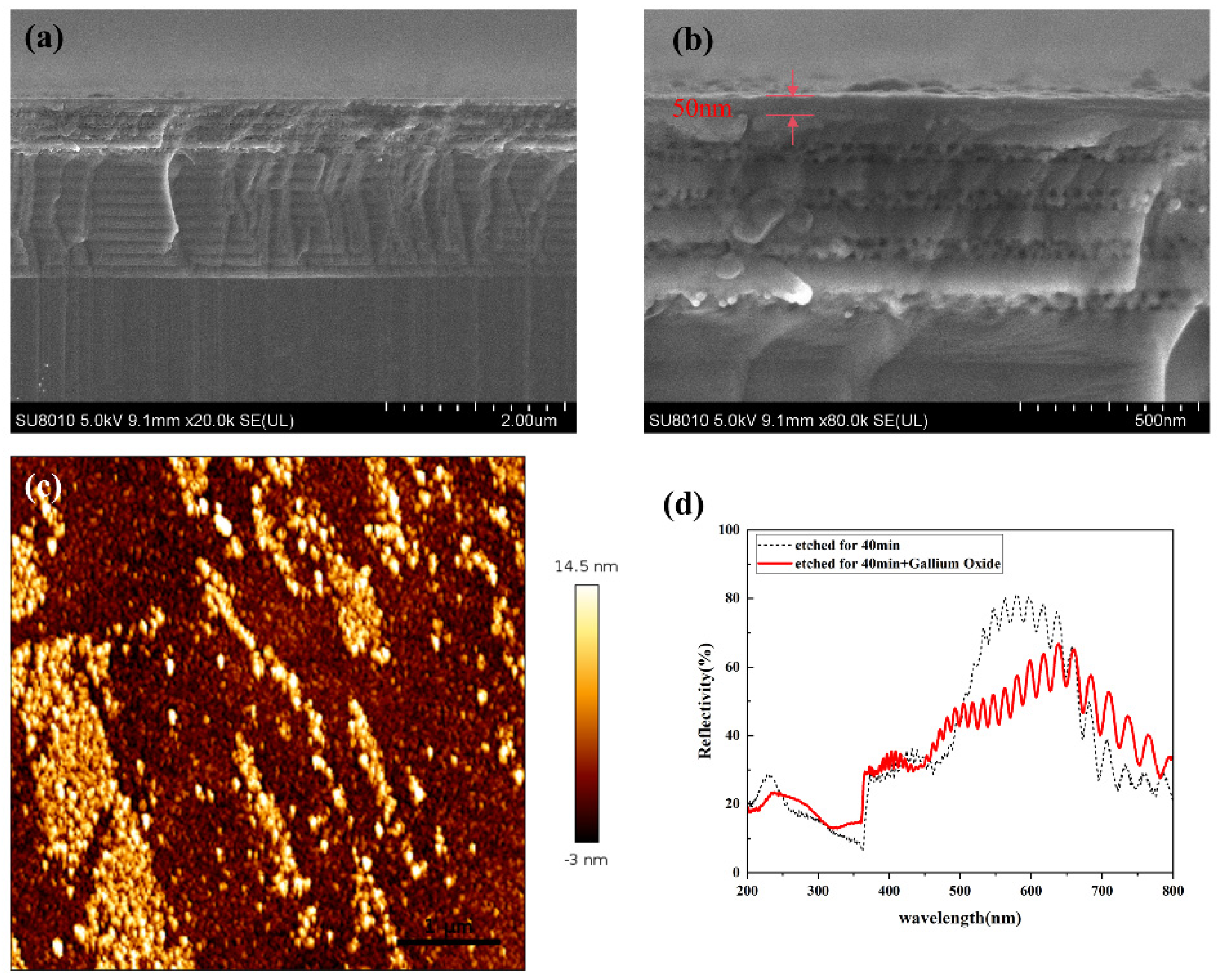 Nanomaterials 14 01165 g006