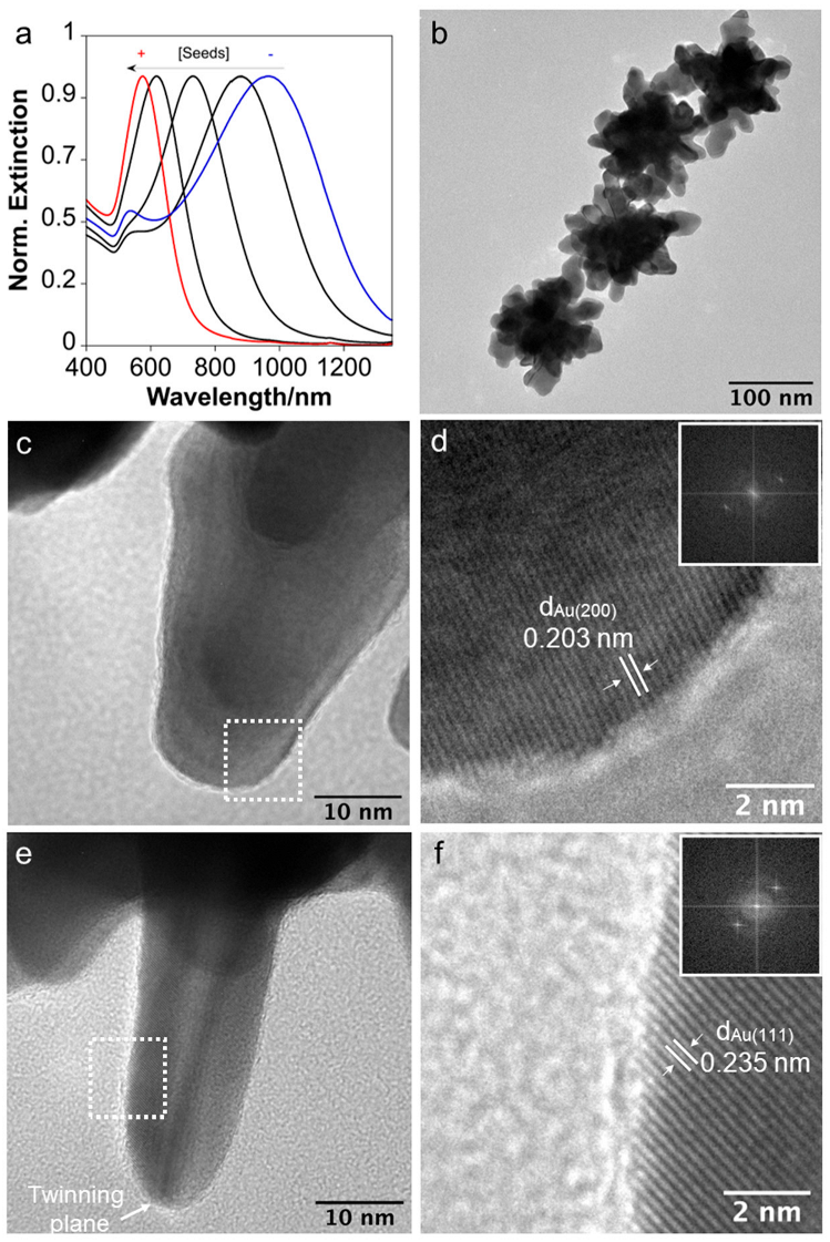 Nanomaterials 14 01166 g001