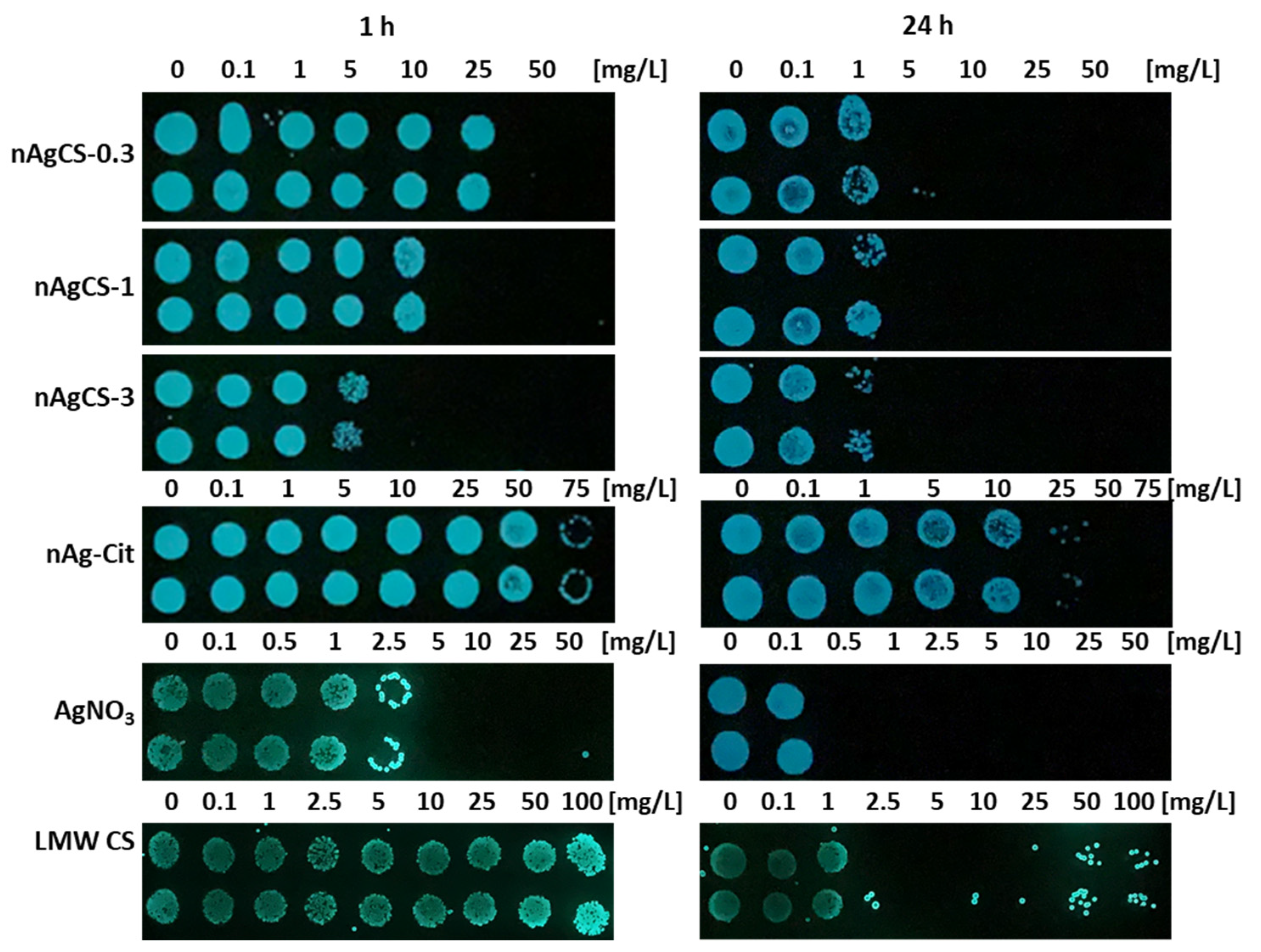 Nanomaterials 14 01193 g003