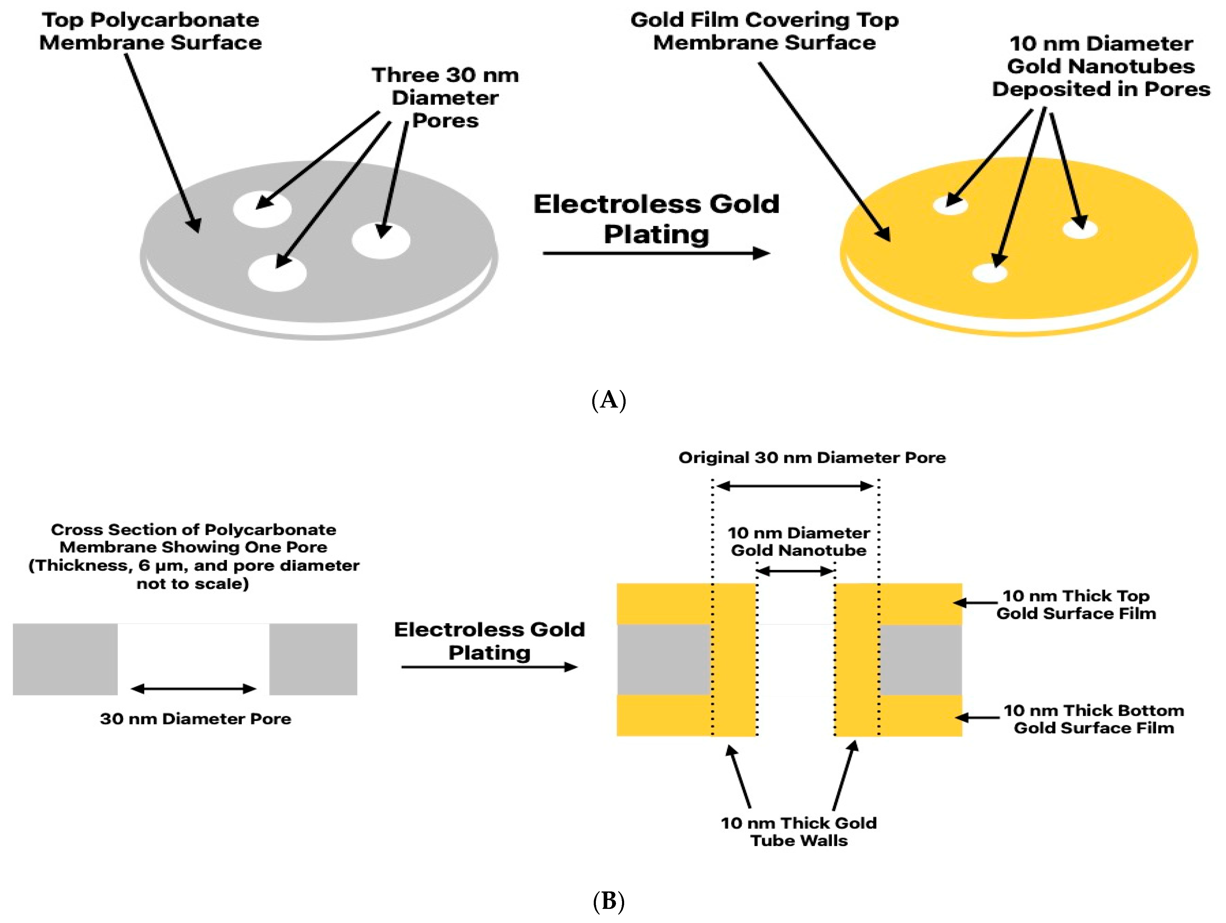 Nanomaterials 14 01209 g001