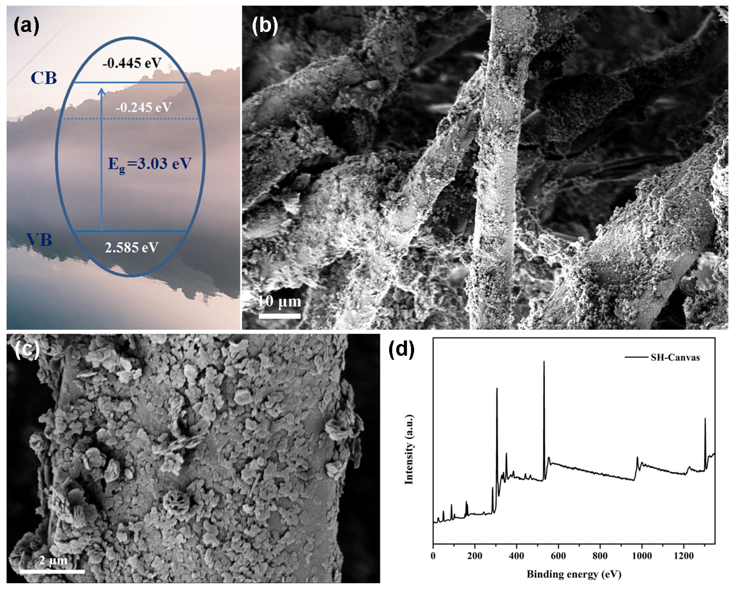 Nanomaterials 14 01240 g006