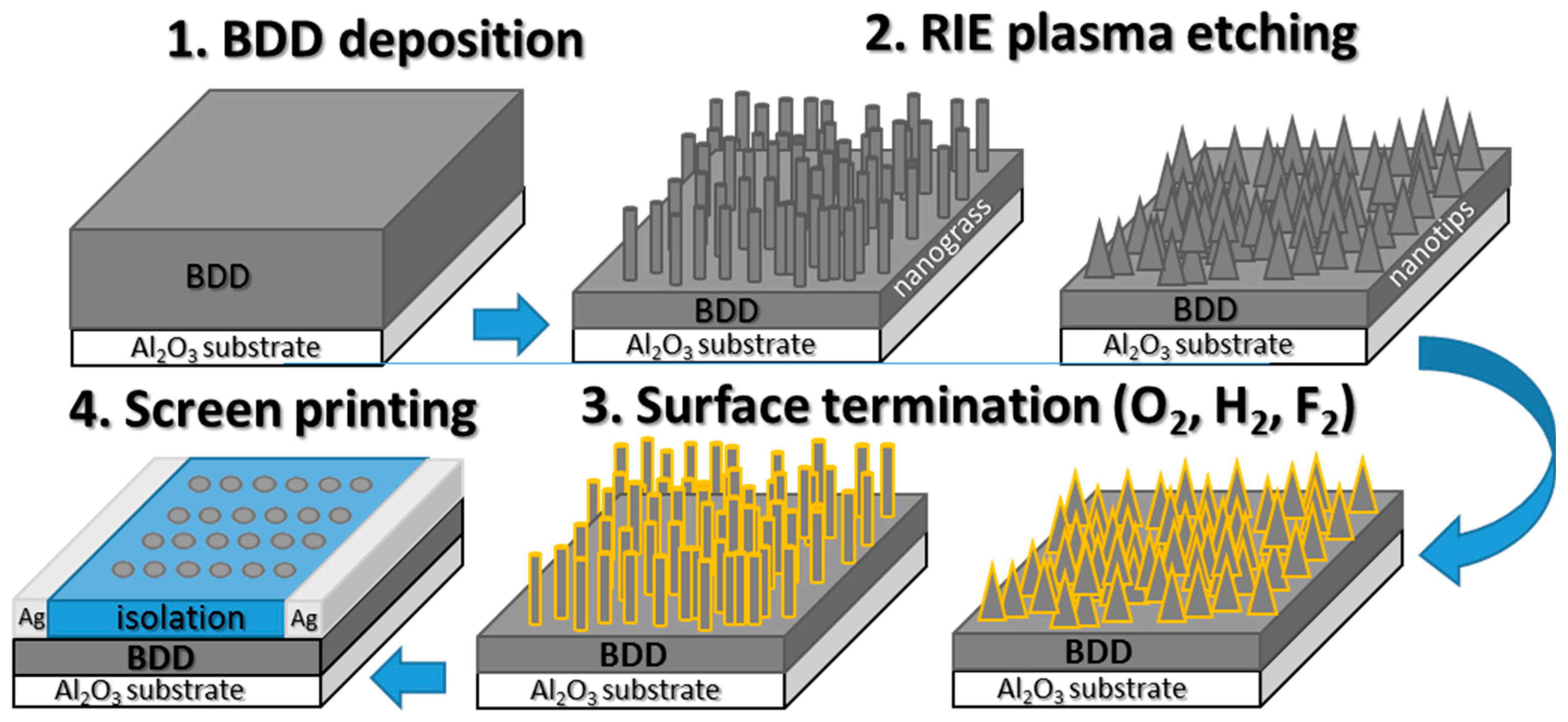 Nanomaterials 14 01241 sch001